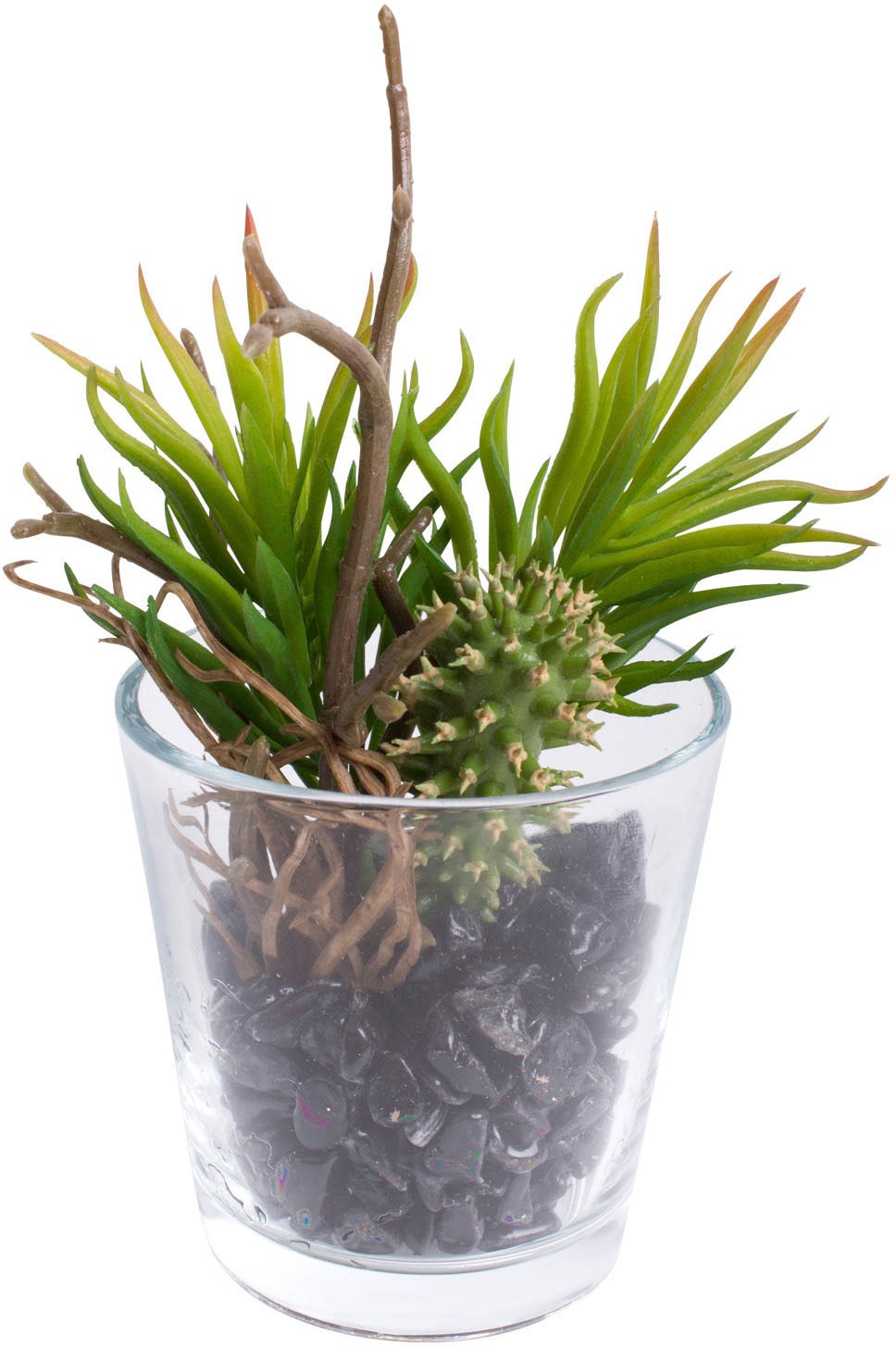 Botanic-Haus Künstliche Zimmerpflanze »Sukkulenten Arrangement im Glas«