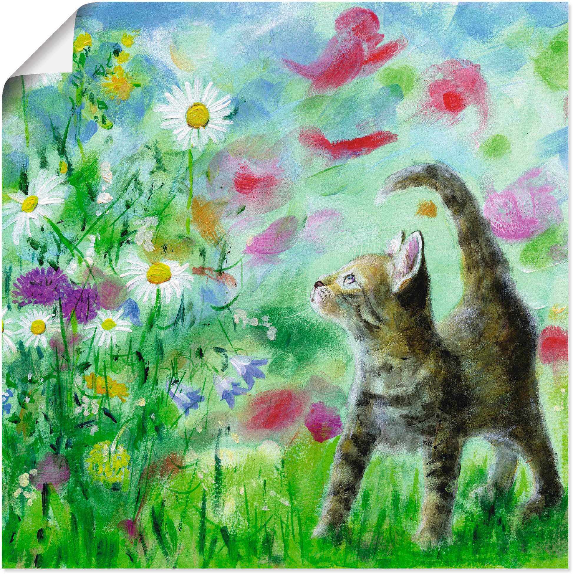 Image of Artland Wandbild "Sommerwiese mit Kätzchen" Haustiere 1 Stk. tlg. als Leinwandbild, Poster in verschied. Grössen
