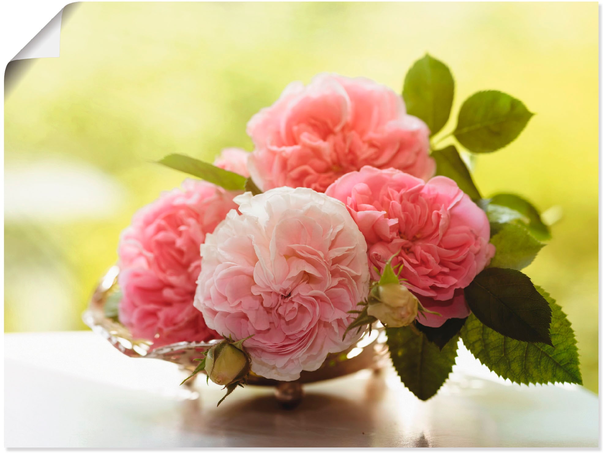 Image of Artland Poster "Rosen in Silberschale Stillleben" Blumen 1 Stk. tlg. ohne Rahmen