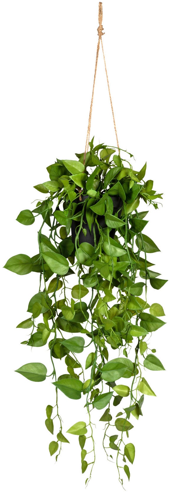 günstig green Kunstranke Creativ »Philodendronhänger«, kaufen im Hängetopf