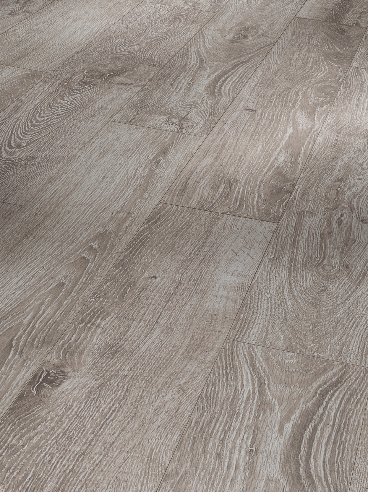 Image of PARADOR Laminat »Basic 600 - Eiche Lichtgrau«, (Packung), Kantenimprägnierung, 1285 x 243 mm, Stärke: 8 mm bei Ackermann Versand Schweiz