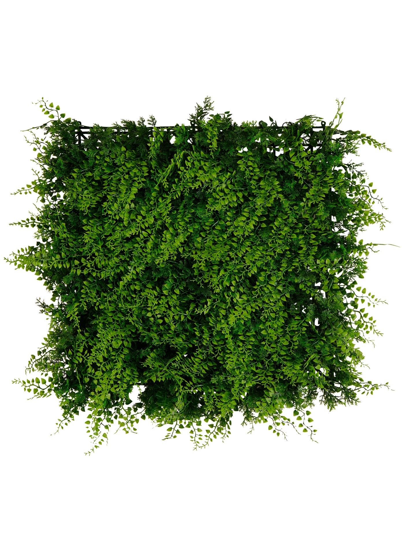 Image of Gasper Wanddekoobjekt bei Ackermann Versand Schweiz