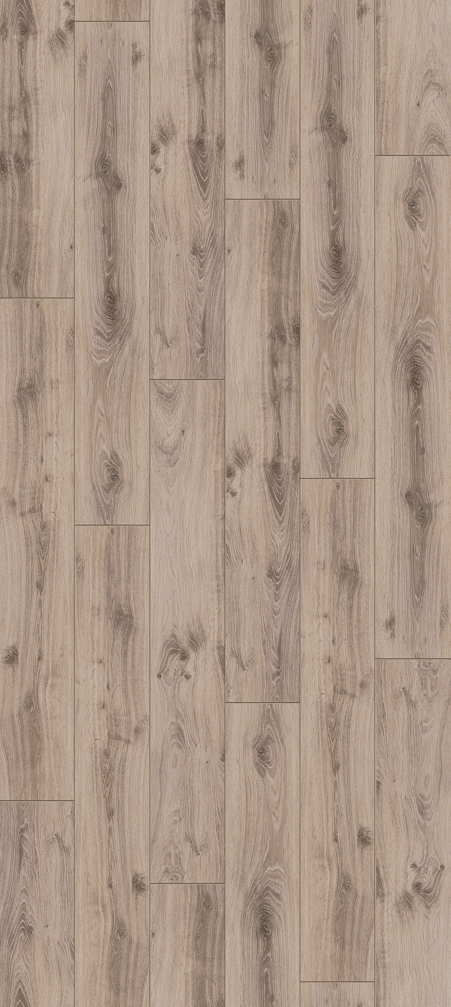 Image of PARADOR Laminat »Classic 1050 - Eiche Tradition Grau-beige«, (Packung), spezielle Trägerplatte, 1285 x 194 mm, Stärke: 8 mm bei Ackermann Versand Schweiz