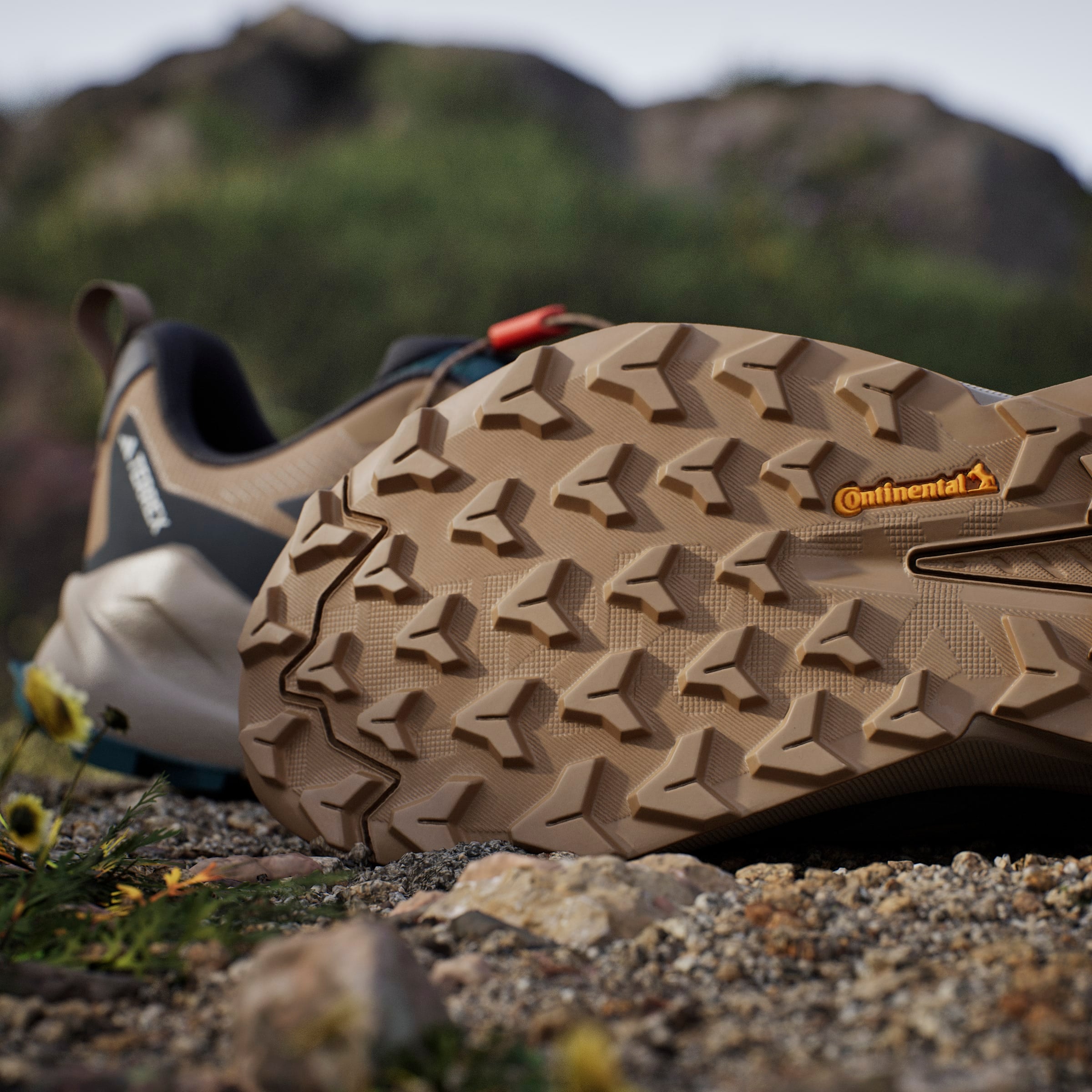 adidas TERREX Chaussure de randonnée »TERREX TRAILMAKER 2 GORE-TEX SPEED LACE«  wasserdicht