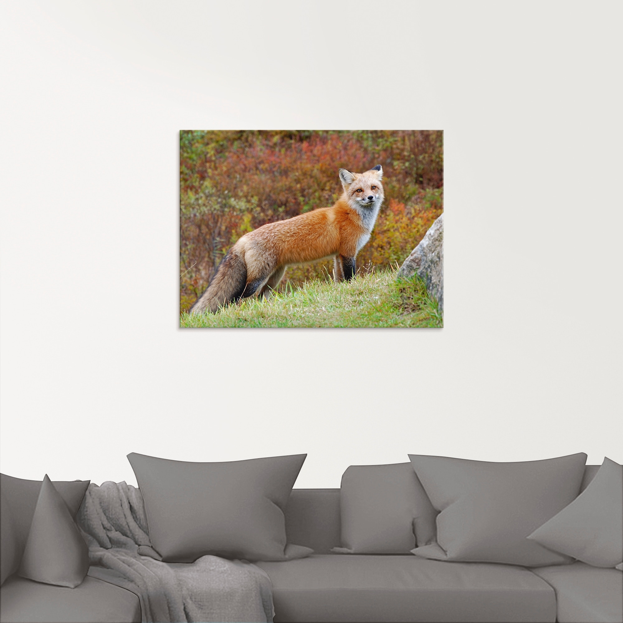 Artland Glasbild »Fuchs I«, Wildtiere, (1 St.), in verschiedenen Grössen