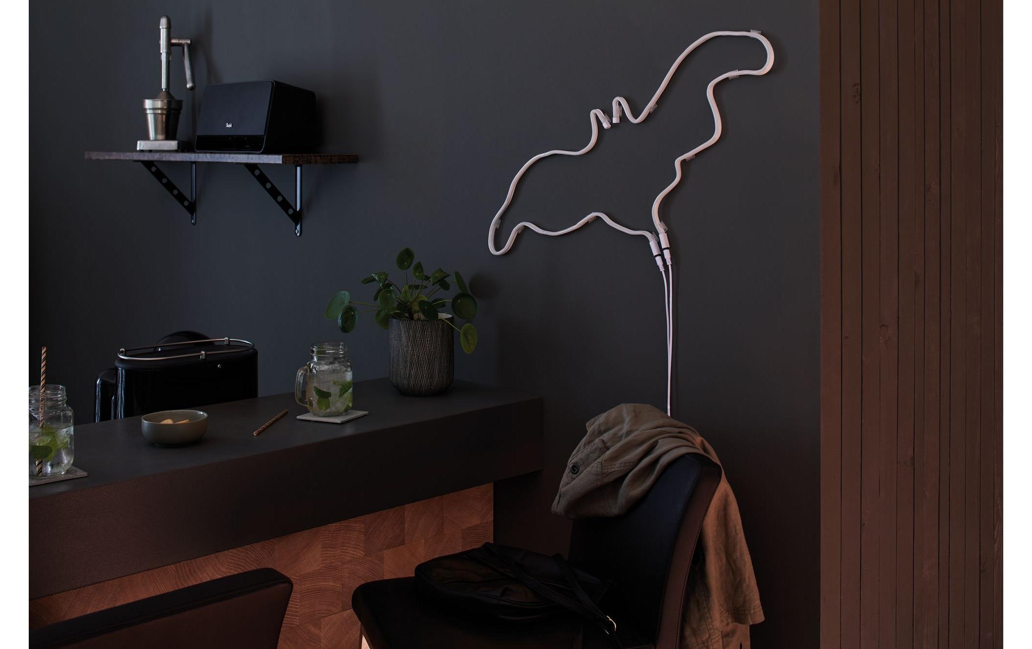 Paulmann LED-Streifen »Neon Colorflex«, 120 St.-flammig