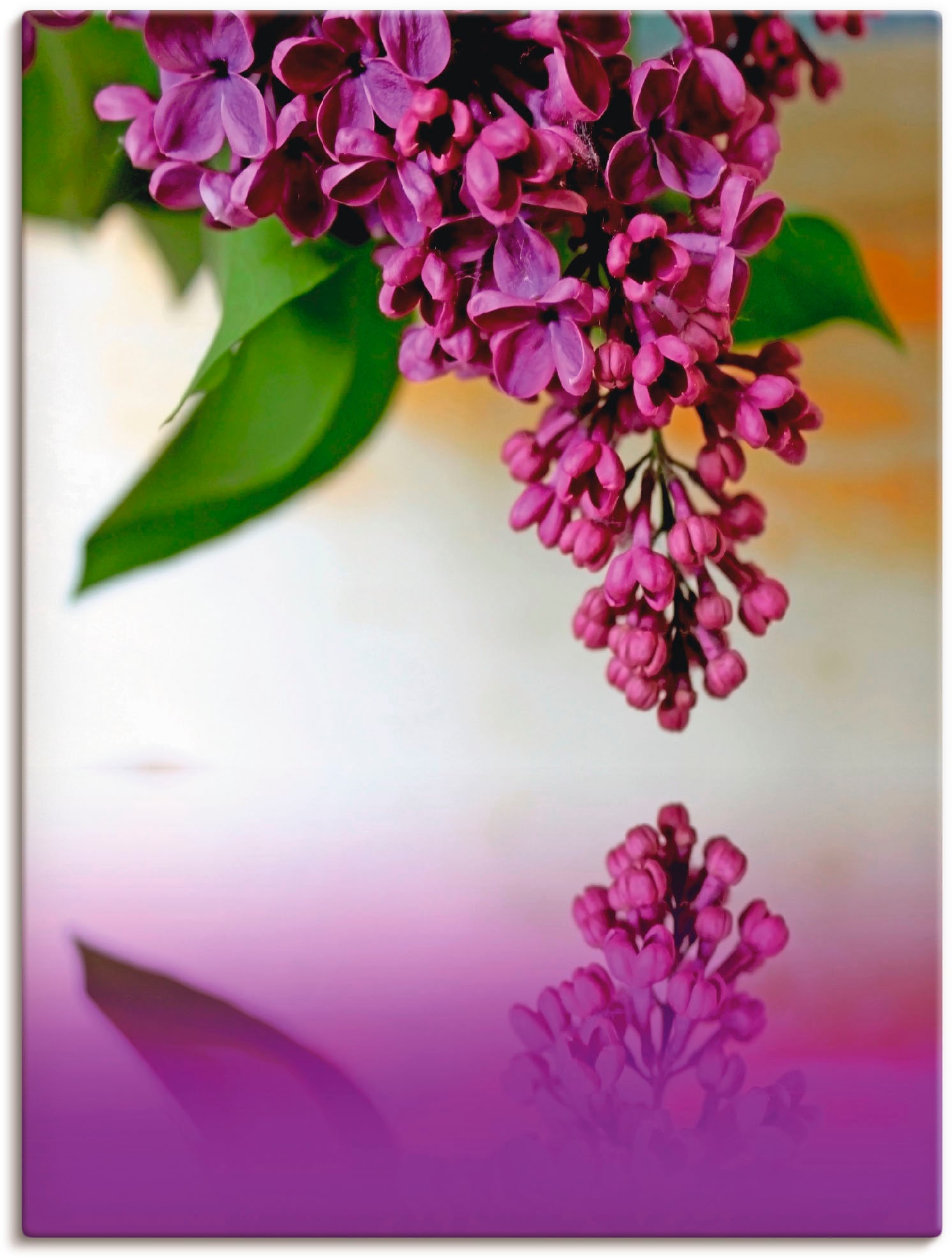 Image of Artland Leinwandbild "Flieder" Blumen 1 Stk. tlg. auf Holzrahmen gespannt