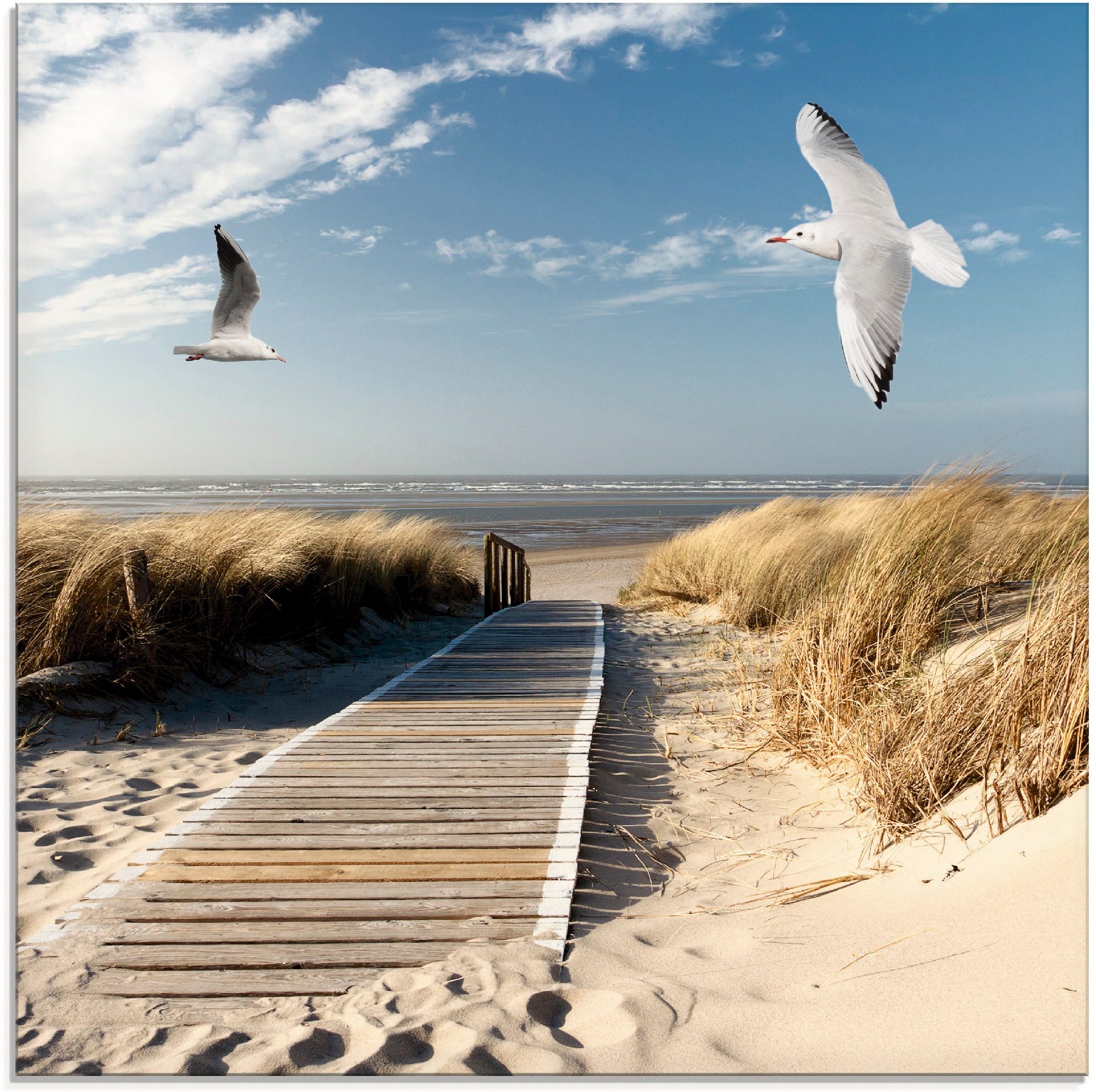 kaufen »Nordseestrand verschiedenen Strand, Grössen Glasbild (1 Artland Langeoog St.), in mit auf Möwen«,