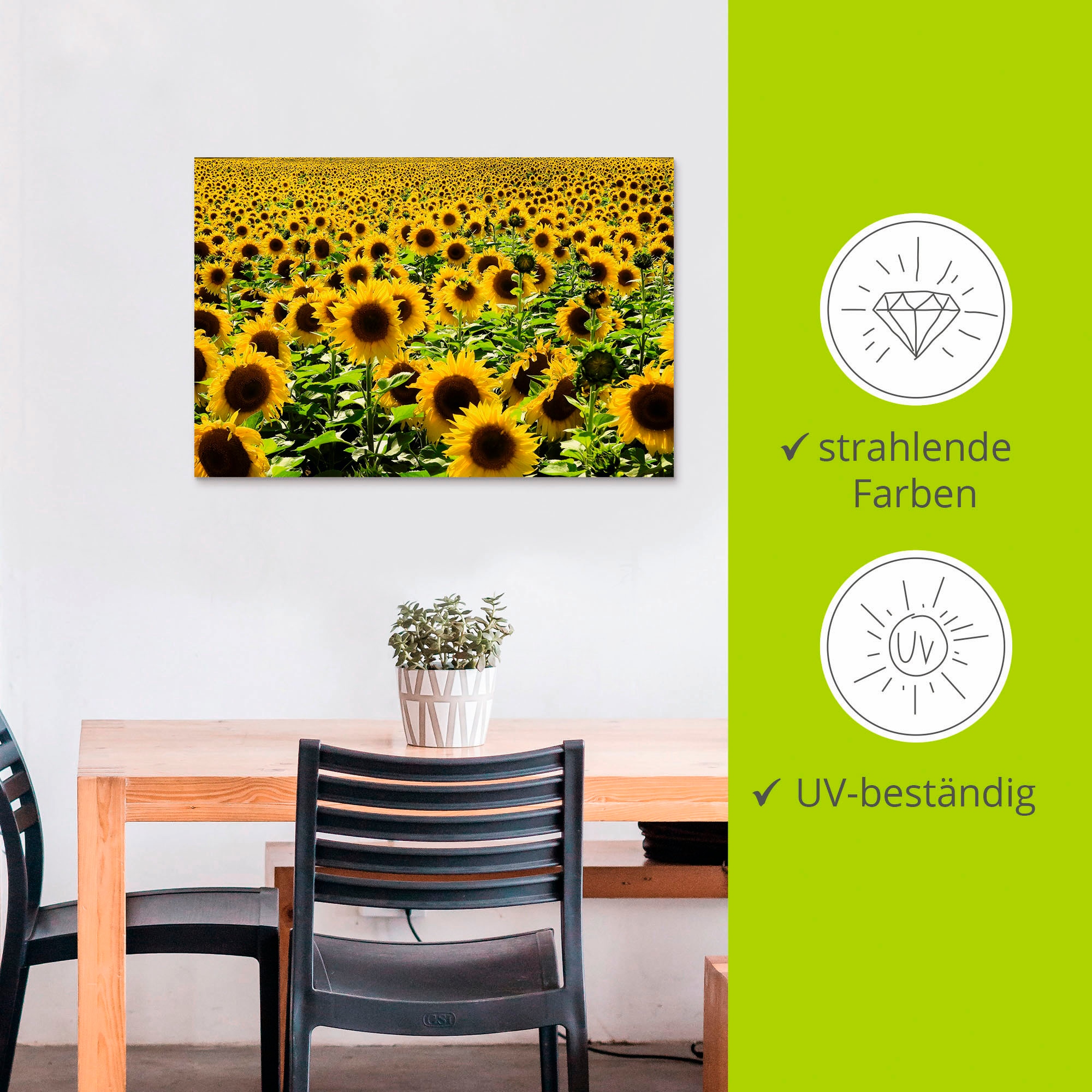 Artland Wandbild »Sonnenblumenfeld« Blumen 1 Stk. tlg. als Alubild, Leinwandbild in verschied. Grössen