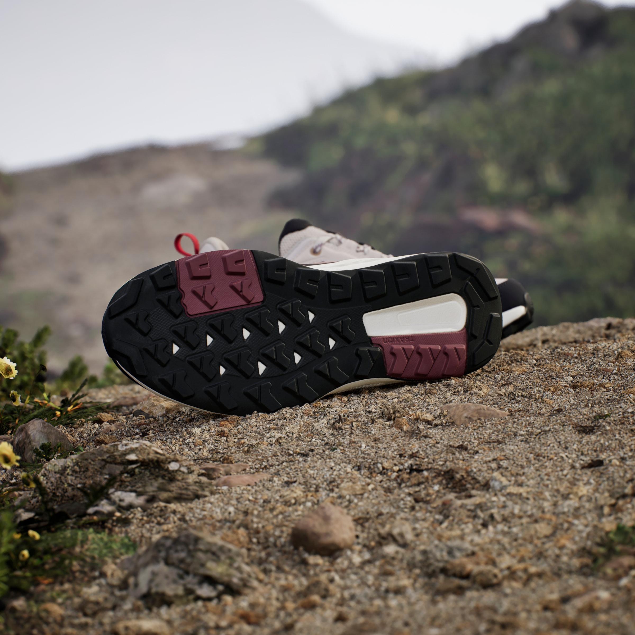 adidas TERREX Wanderschuh »TERREX ANYLANDER«