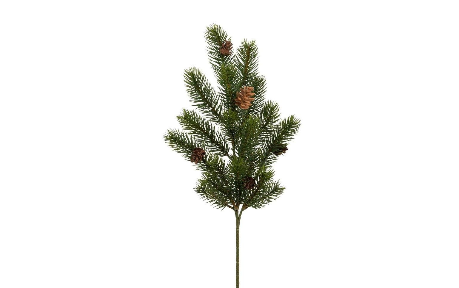 Image of Botanic-Haus Kunstzweig bei Ackermann Versand Schweiz