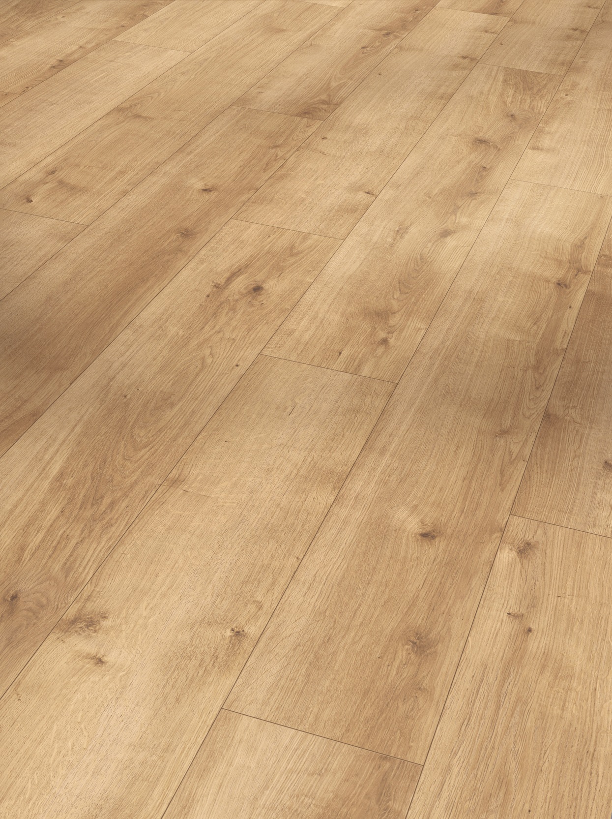 Image of PARADOR Designboden »Modular ONE«, (Packung), Eiche pure Natur, 194x1285x8 mm, 2,493 m² bei Ackermann Versand Schweiz