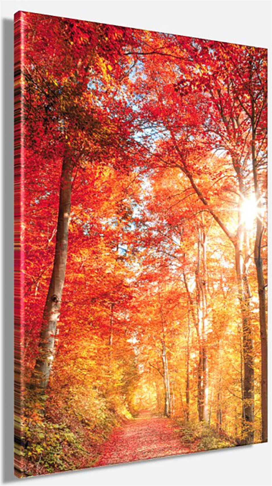 Bönninghoff Tableau sur toile »Wandbild BUNTER HERBSTWALD 60x90 cm – Leinwandbild Keilrahmen Deko« Arbres | Forêt | Images d'arbres | Images de forêt | Nature | Paysage 1 cuis tlg. tendu sur châssis