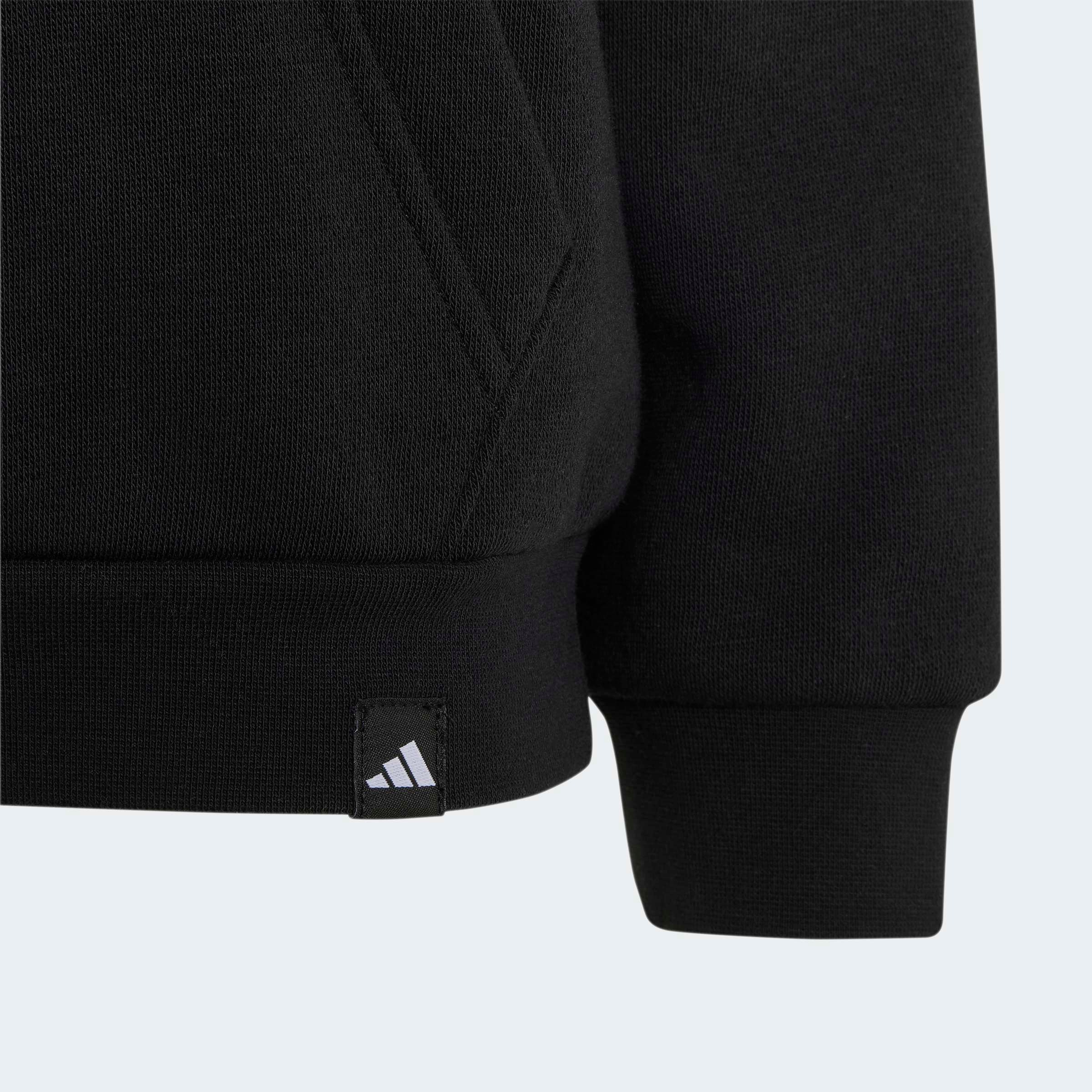 adidas TERREX Kapuzensweatshirt »KIDS MULTI LOGO HOODIE«
