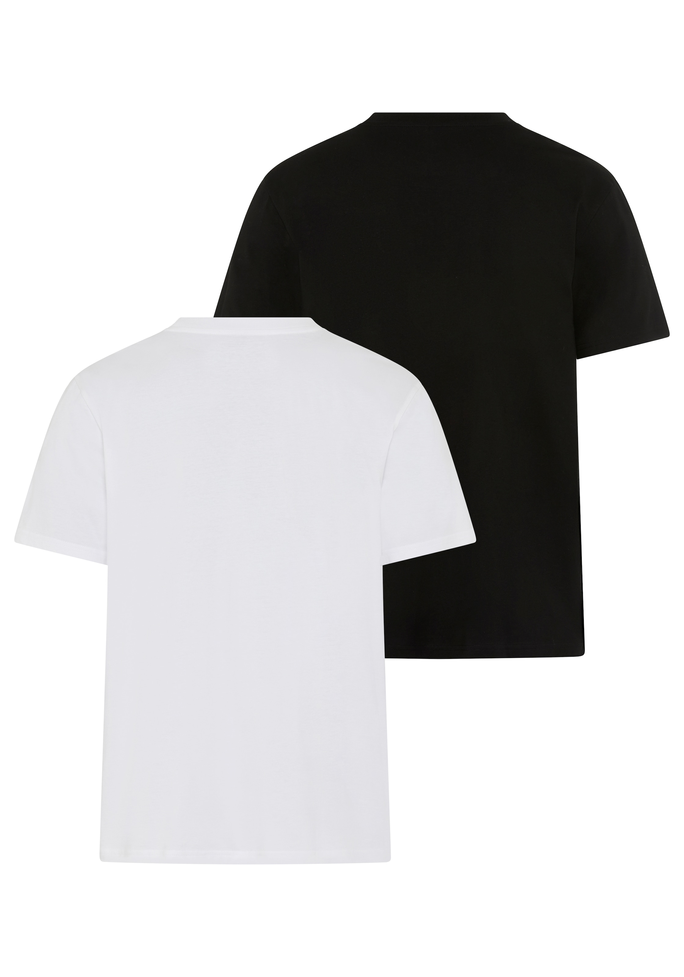 Quiksilver T-shirt »SURF SAFARI INSIDE QUAD PACK« 2 pièces