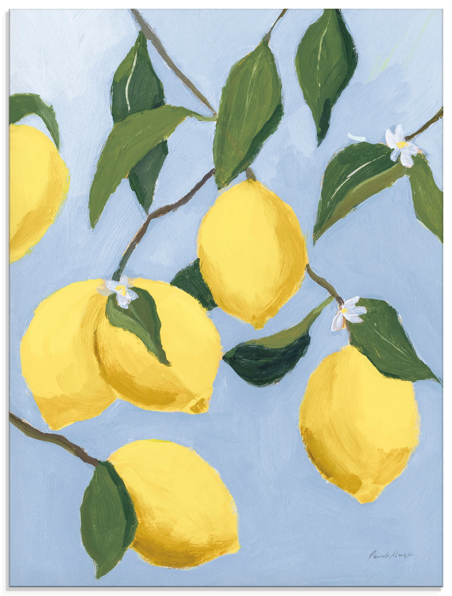 Image of Artland Glasbild "Lemon Tree Light" Pflanzenbilder 1 Stk. tlg. in verschiedenen Grössen