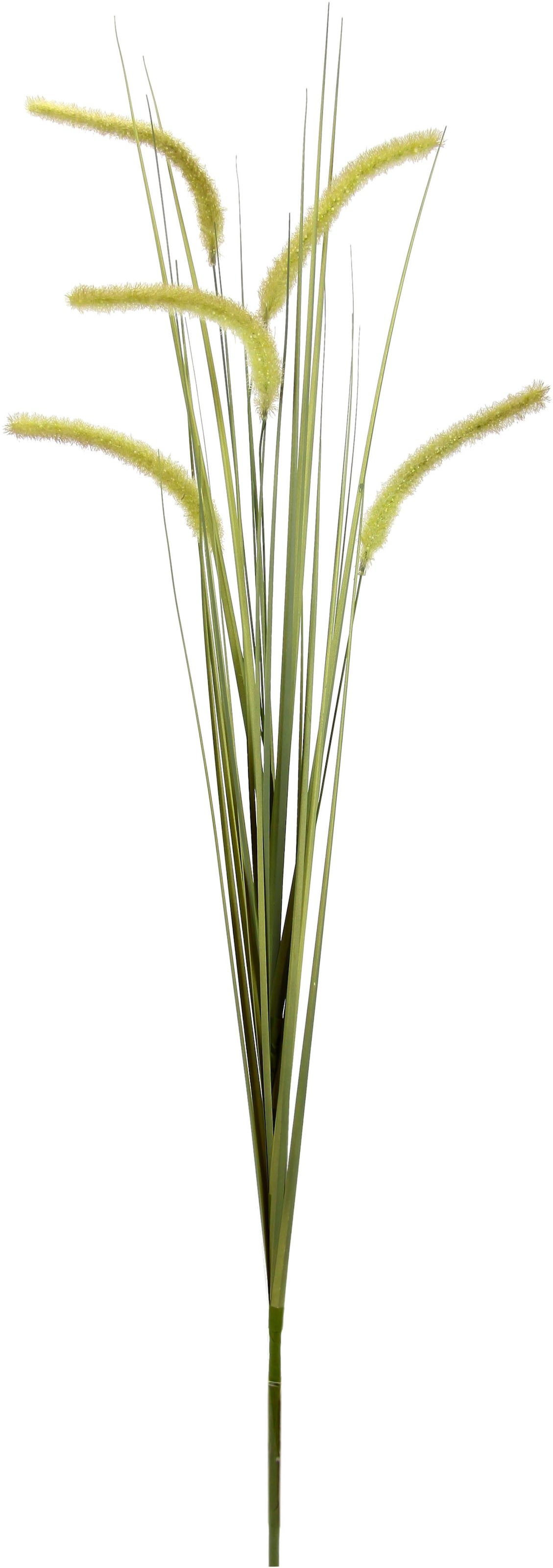 I.GE.A. Kunstblume »Fuchsschwanz« Dekozweig, 2er Set