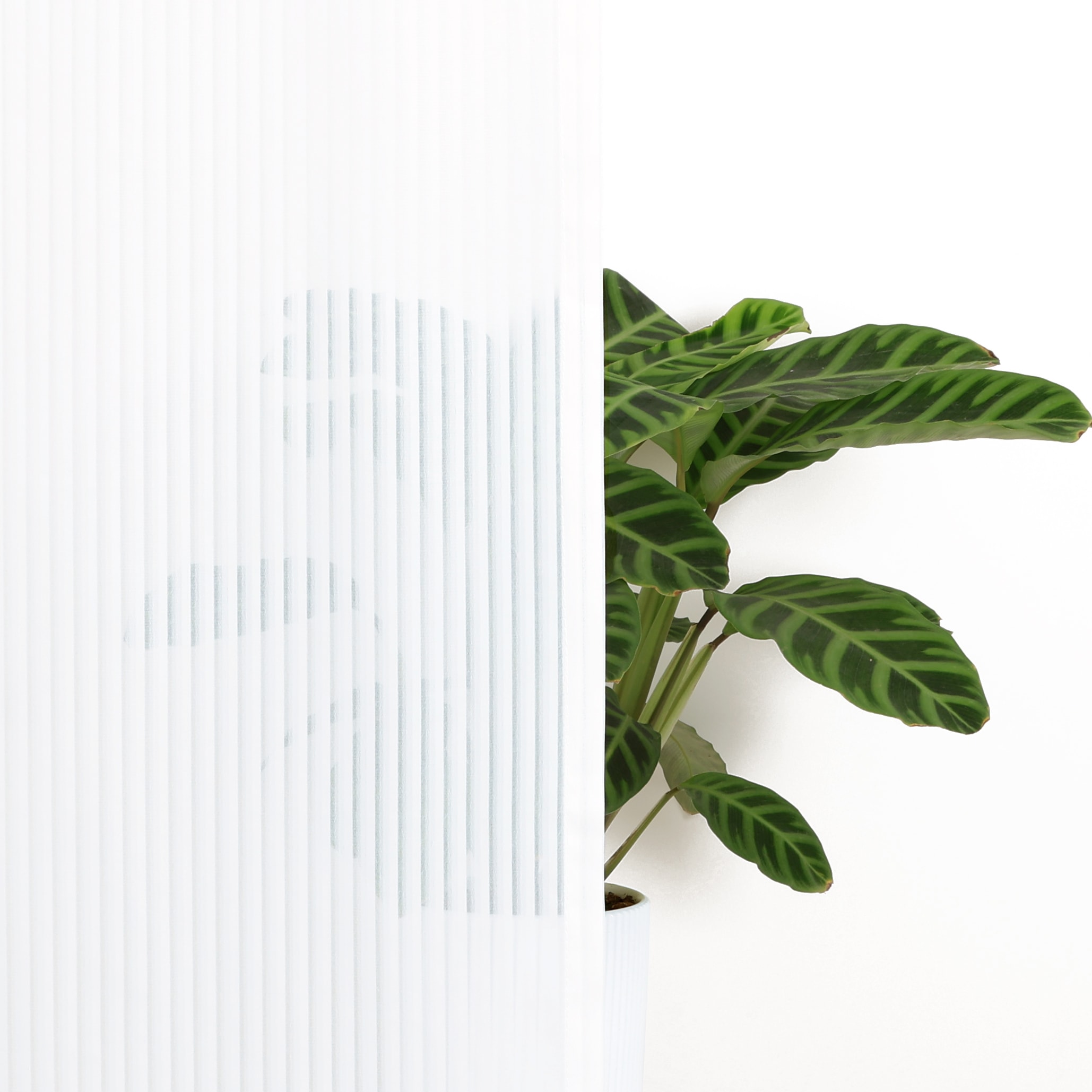 GOODproduct Rideau »Fritty« Bande multifonctionnelle 2 cuis tlg. Multifunktionsband, transparent, moderne Längststreifen, Ausbrenner