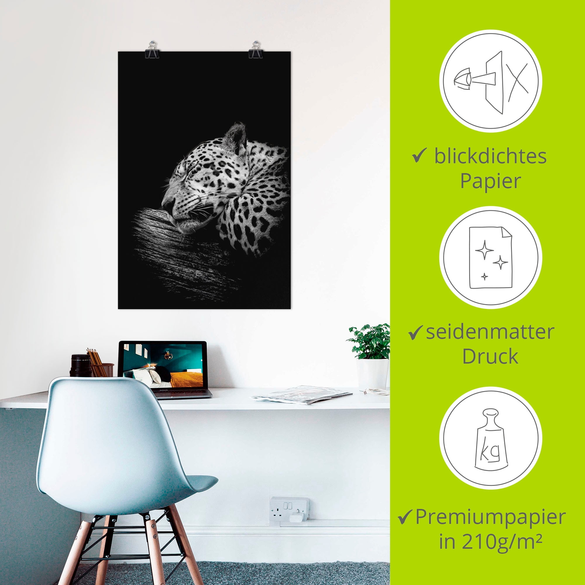 Artland Fresque murale »Der schlafende Jaguar« 1 cuis tlg. als Alubild, Poster in verschied. Grössen