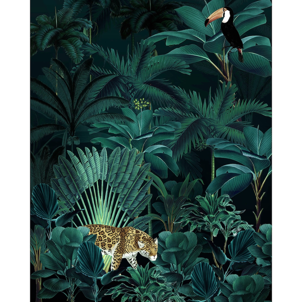 Komar Vliestapete »Jungle Night«