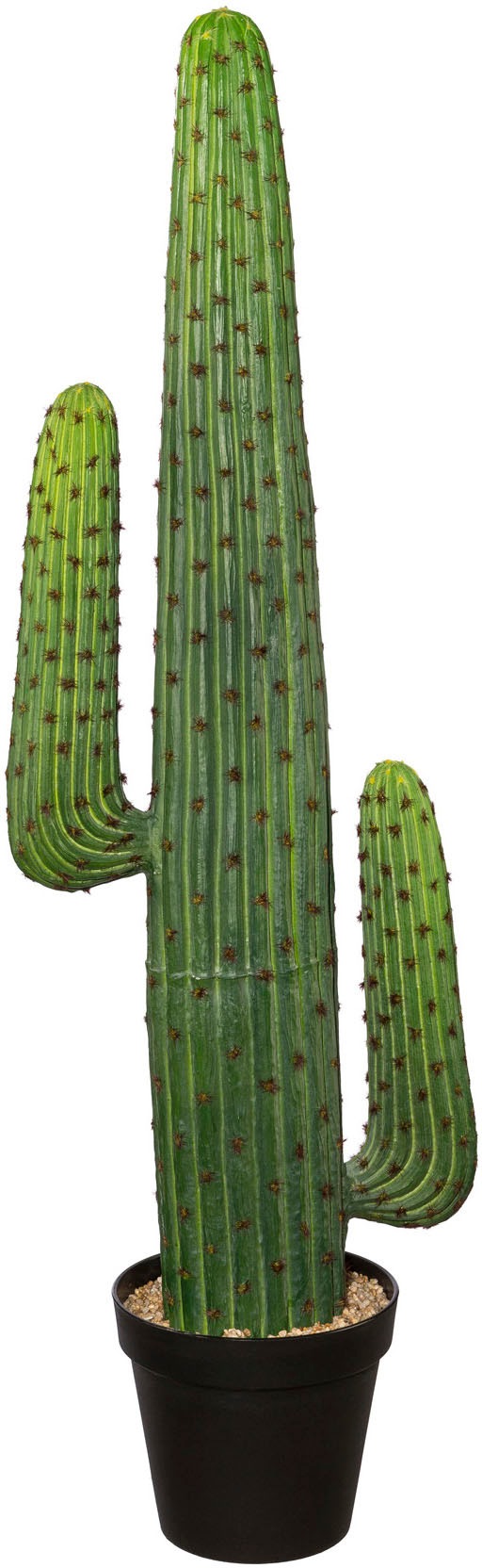 Image of Creativ green Kunstkaktus »Mexikokaktus«, (1 St.) bei Ackermann Versand Schweiz