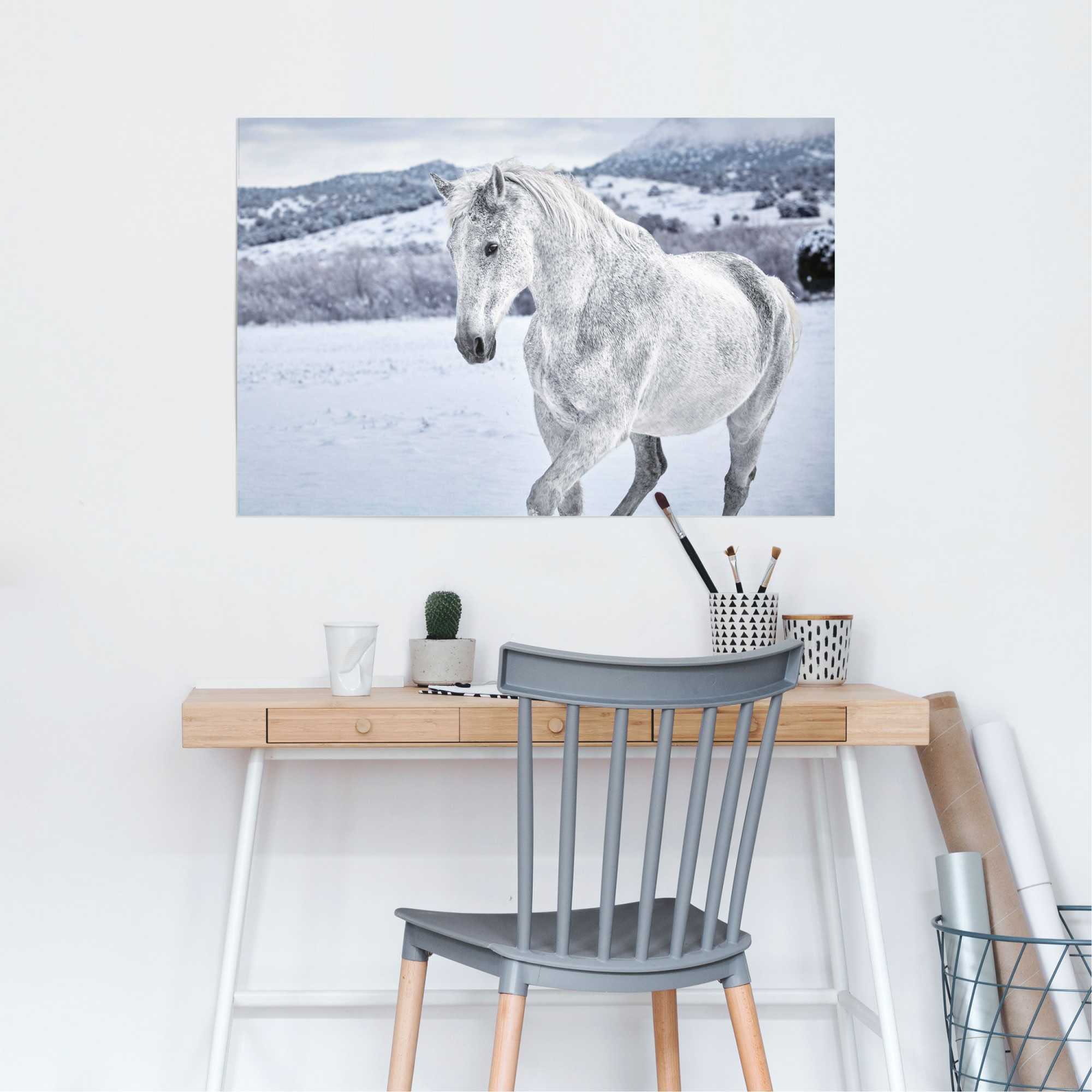 Reinders! Poster »Pferd im Schnee«, (1 St.)