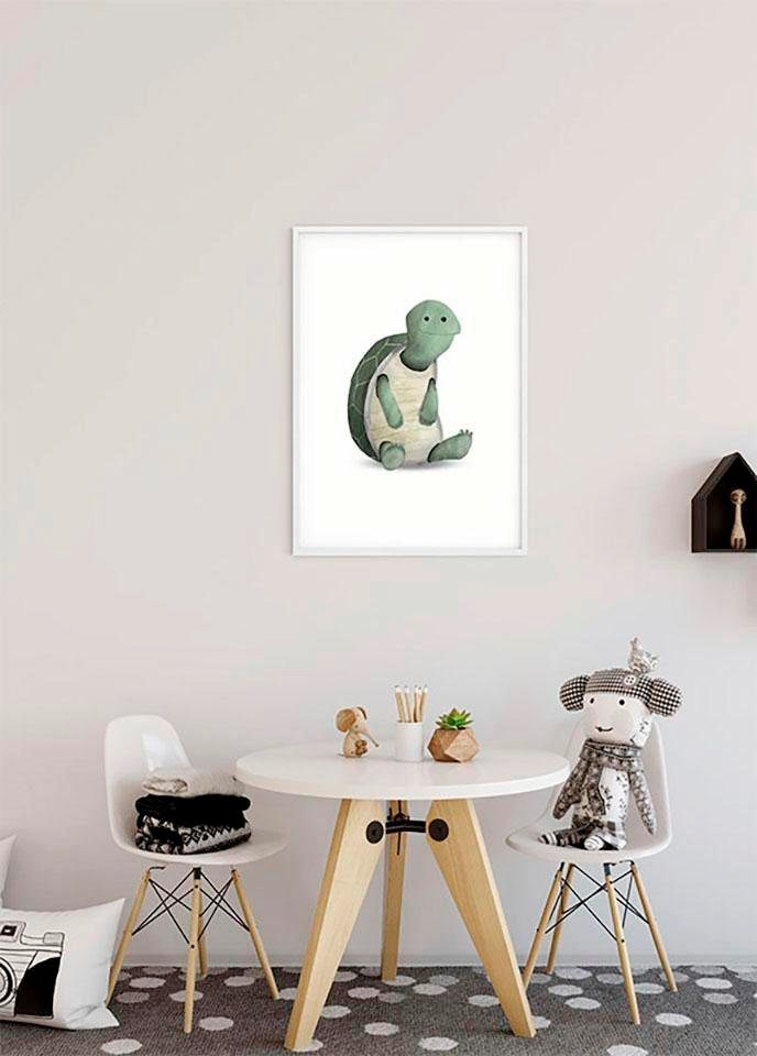 Image of Komar Bild "Cute Animal Turtle" Schildkröten 1 Stk. tlg. Wandbild zur Dekoration - ohne Rahmen
