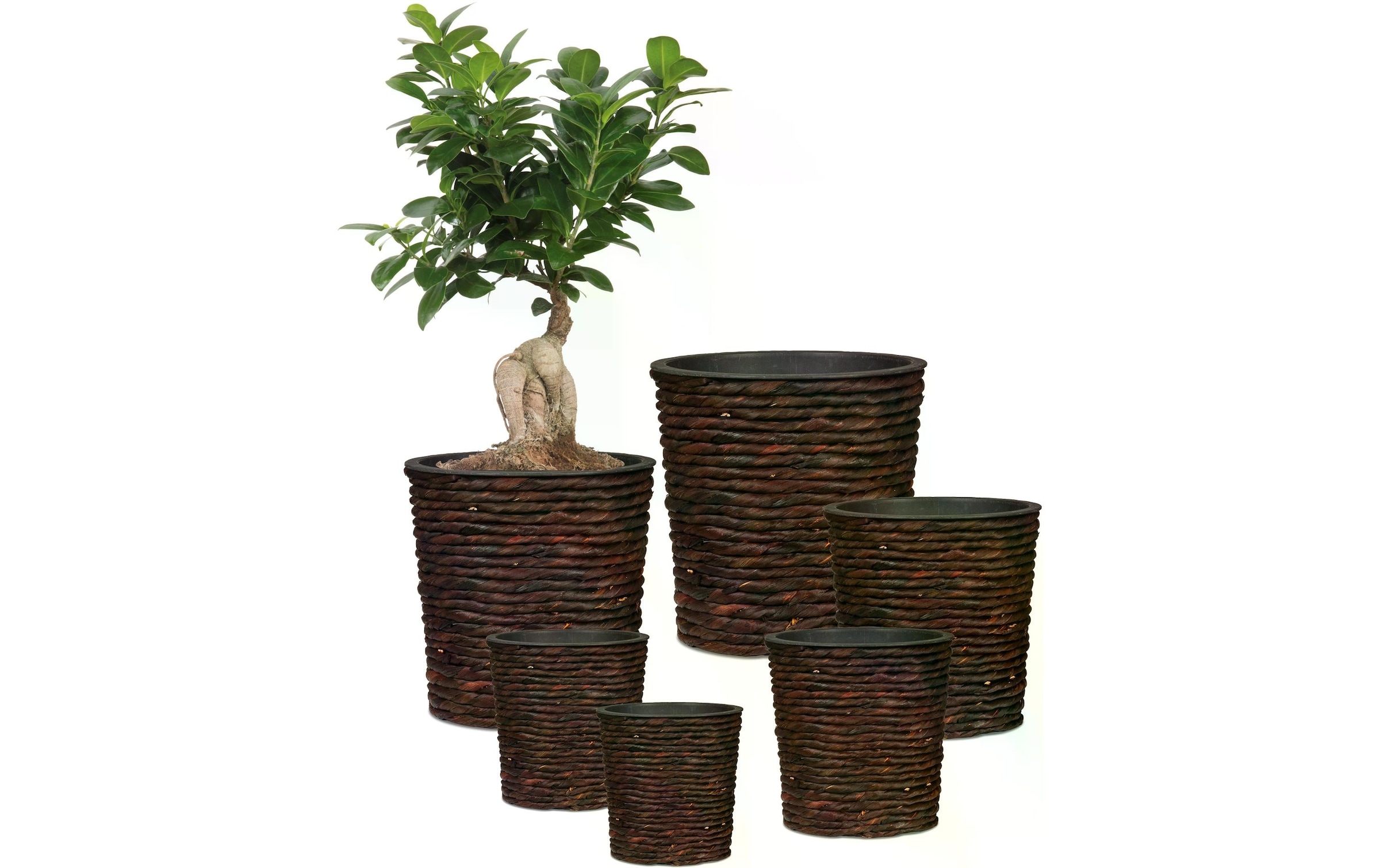 Scheurich Blumentopf