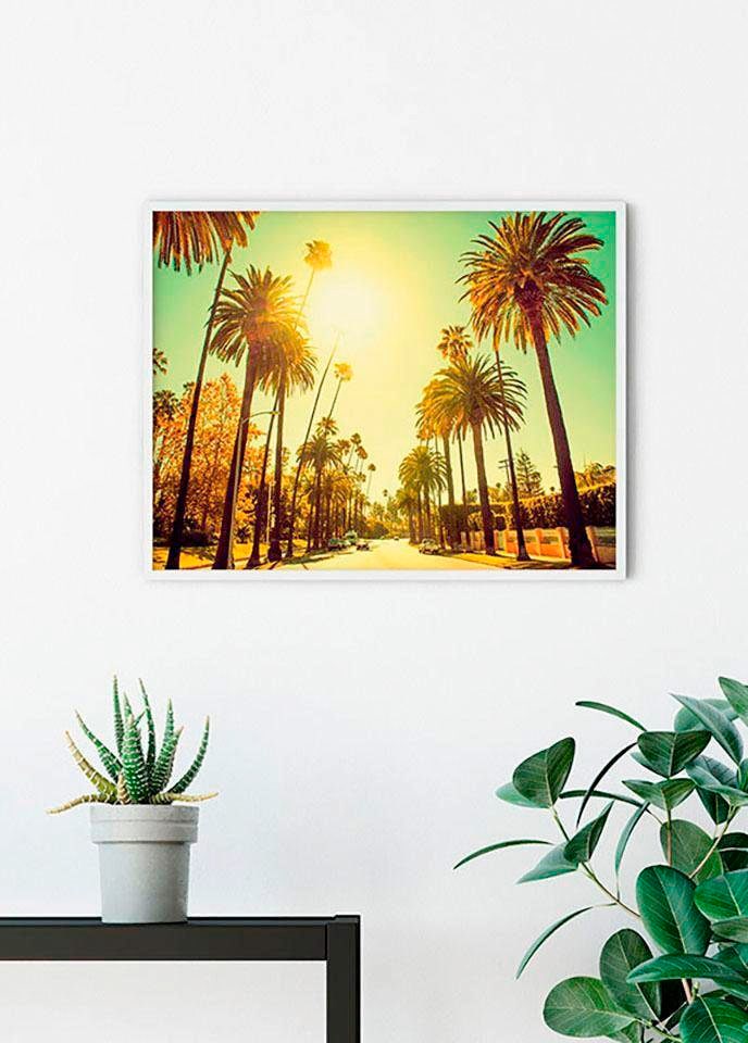 Image of Komar Bild "Palm Alley" Städte 1 Stk. tlg. Wandbild zur Dekoration - ohne Rahmen