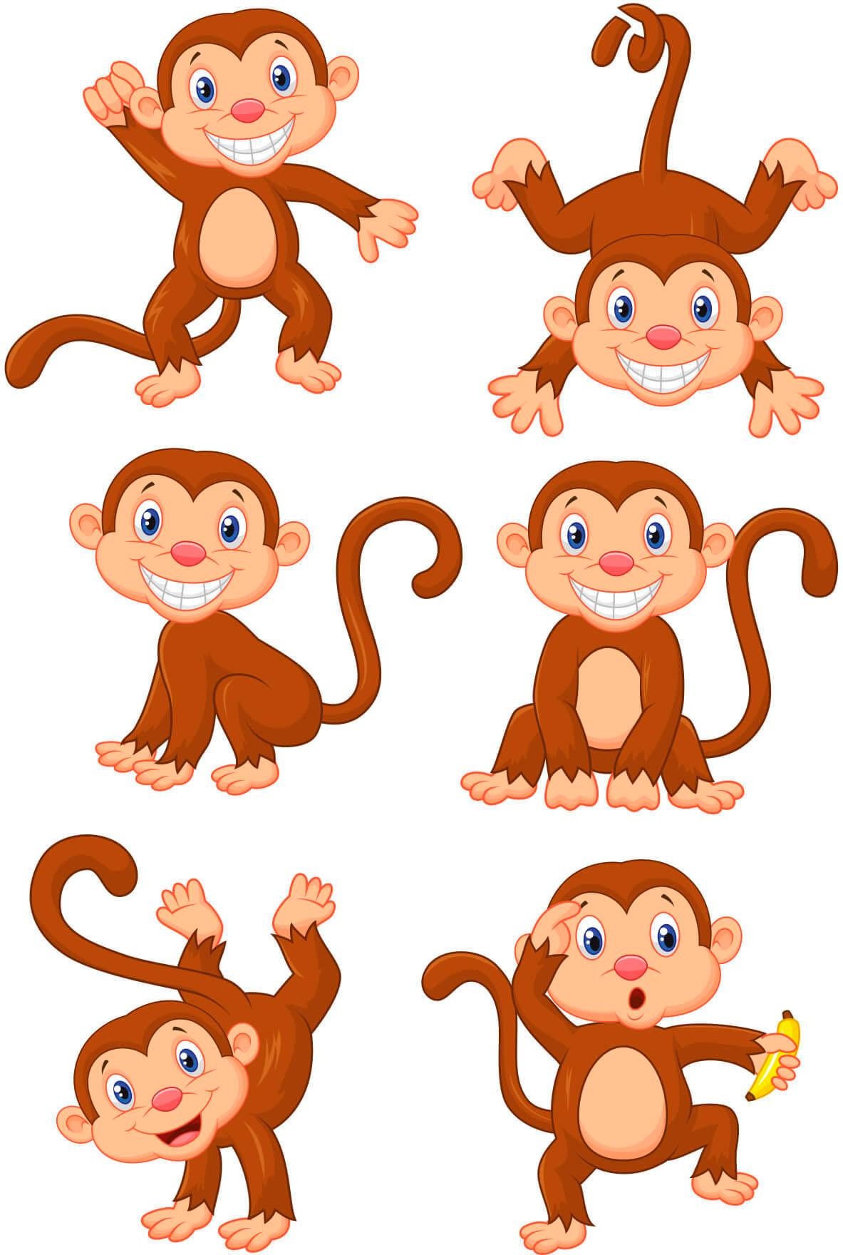 Image of Wall-Art Wandtattoo »Lustige Äffchen« bei Ackermann Versand Schweiz