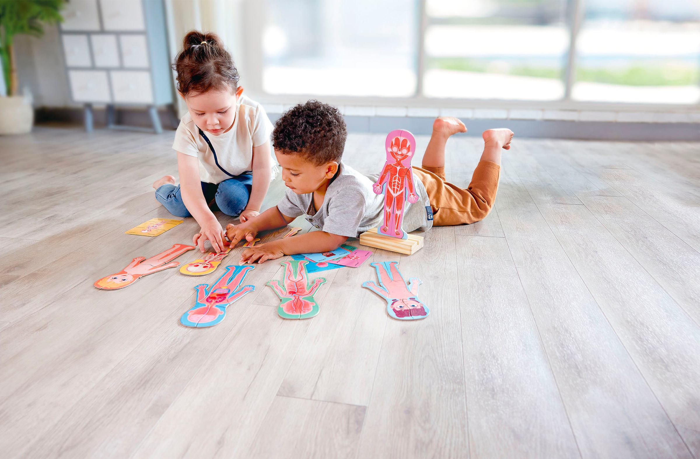 Hape Puzzle de contours »Menschlicher Körper«