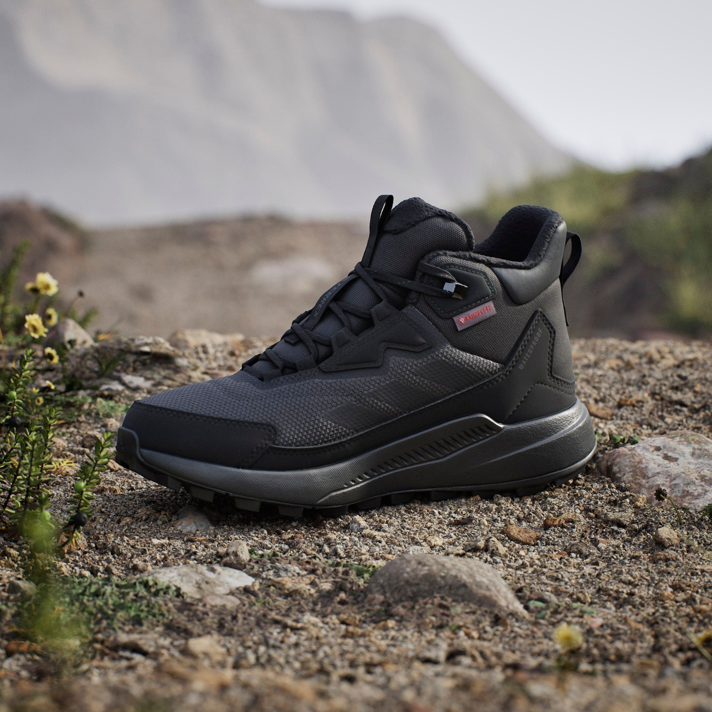 adidas TERREX Wanderschuh »TERREX ANYLANDER CLIMAWARM+ E«