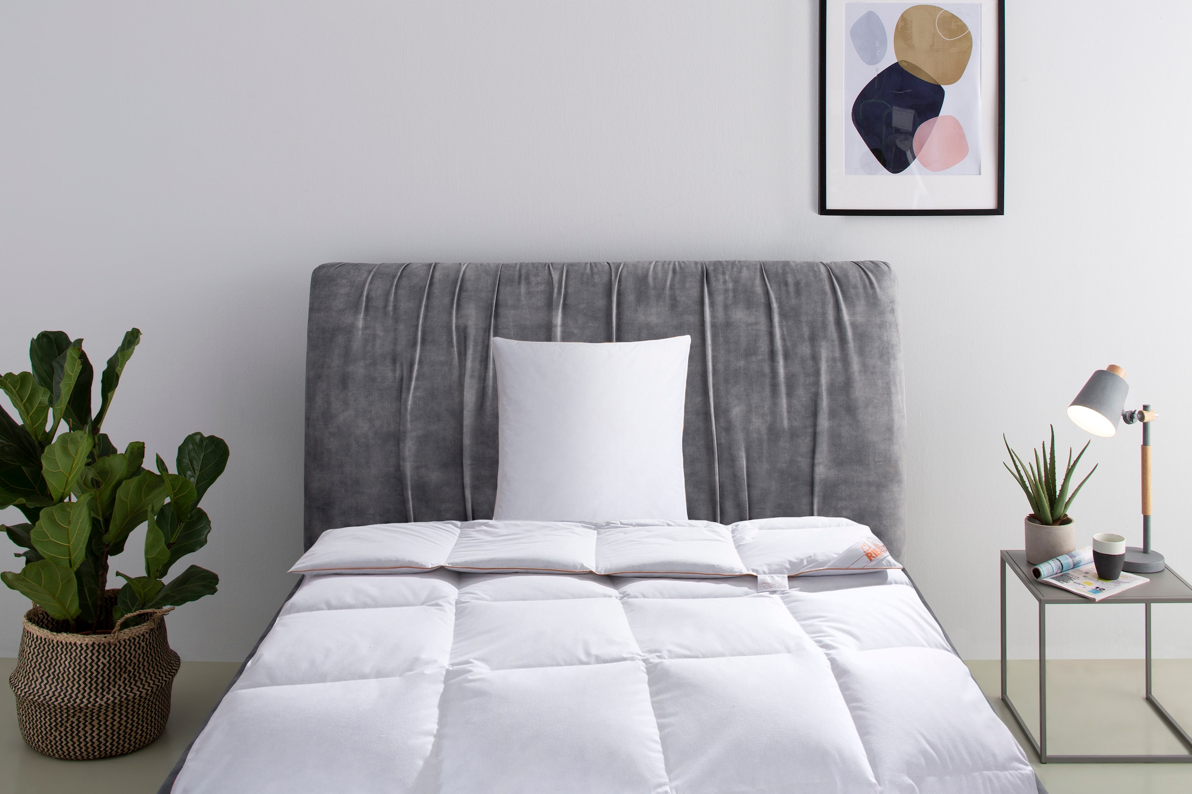 Image of RIBECO Daunenbettdecke + Kopfkissen "Richard, Bettwaren-Set in 135x200 oder 155x220 cm, Sommer oder Winter" Seit 105 Jahren überzeugt RIBECO durch Qualität