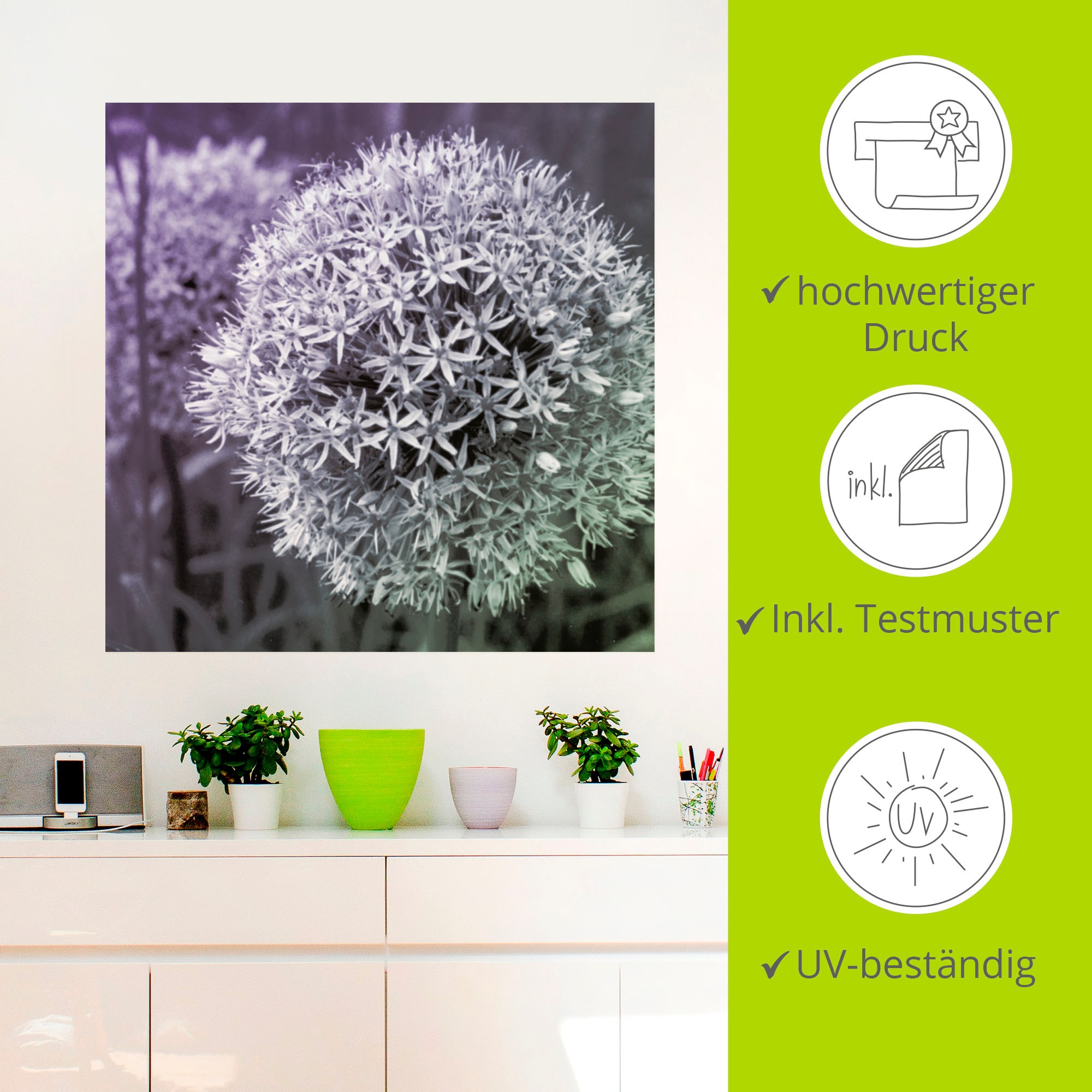 Artland Wandbild »Lila Sensation I«, Blumen, (1 St.), als Alubild, Outdoorbild, Leinwandbild, Poster, Wandaufkleber