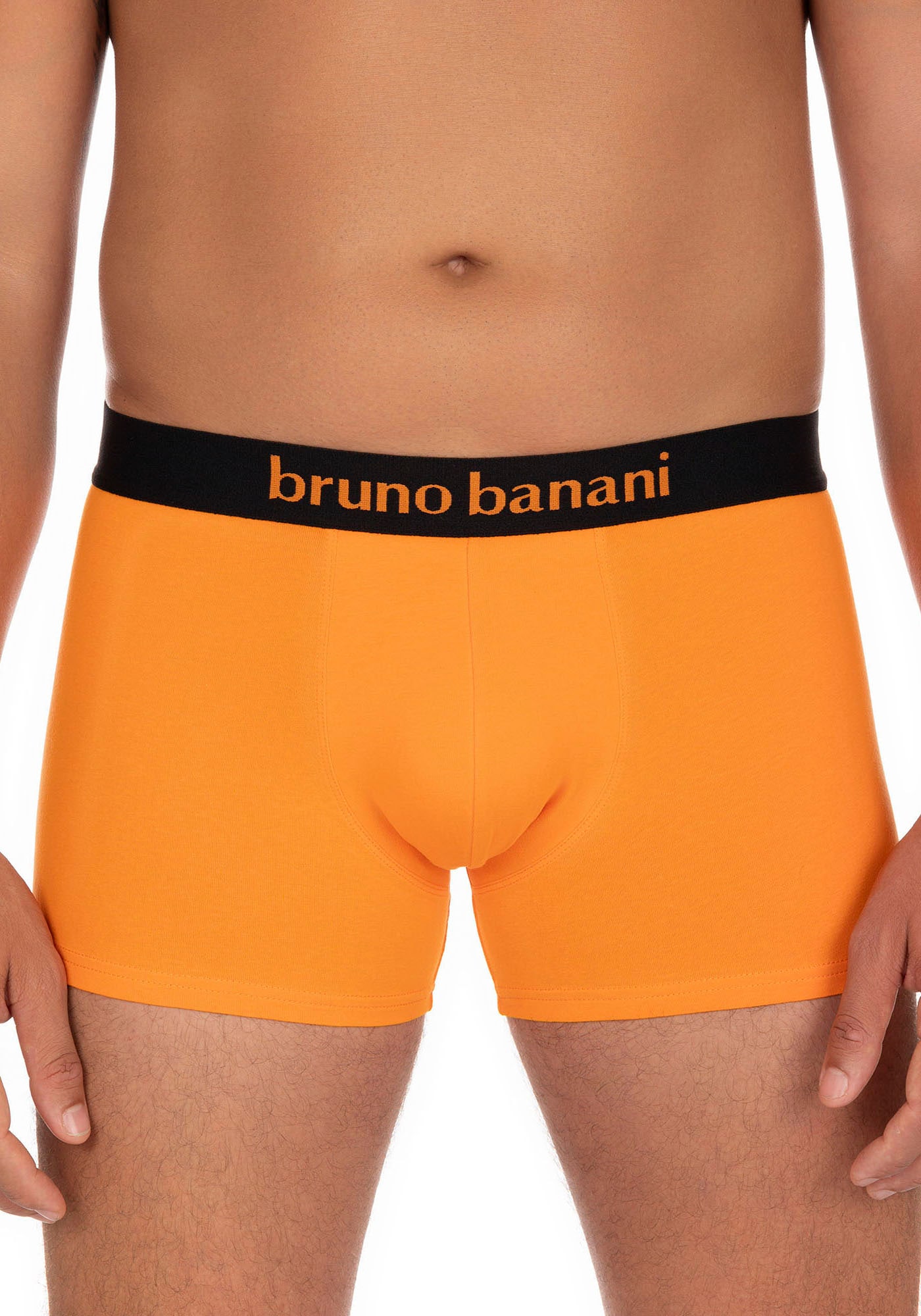 Bruno Banani Boxer »Flowing« 2er Pack,  mit kontrastreichem Logobund