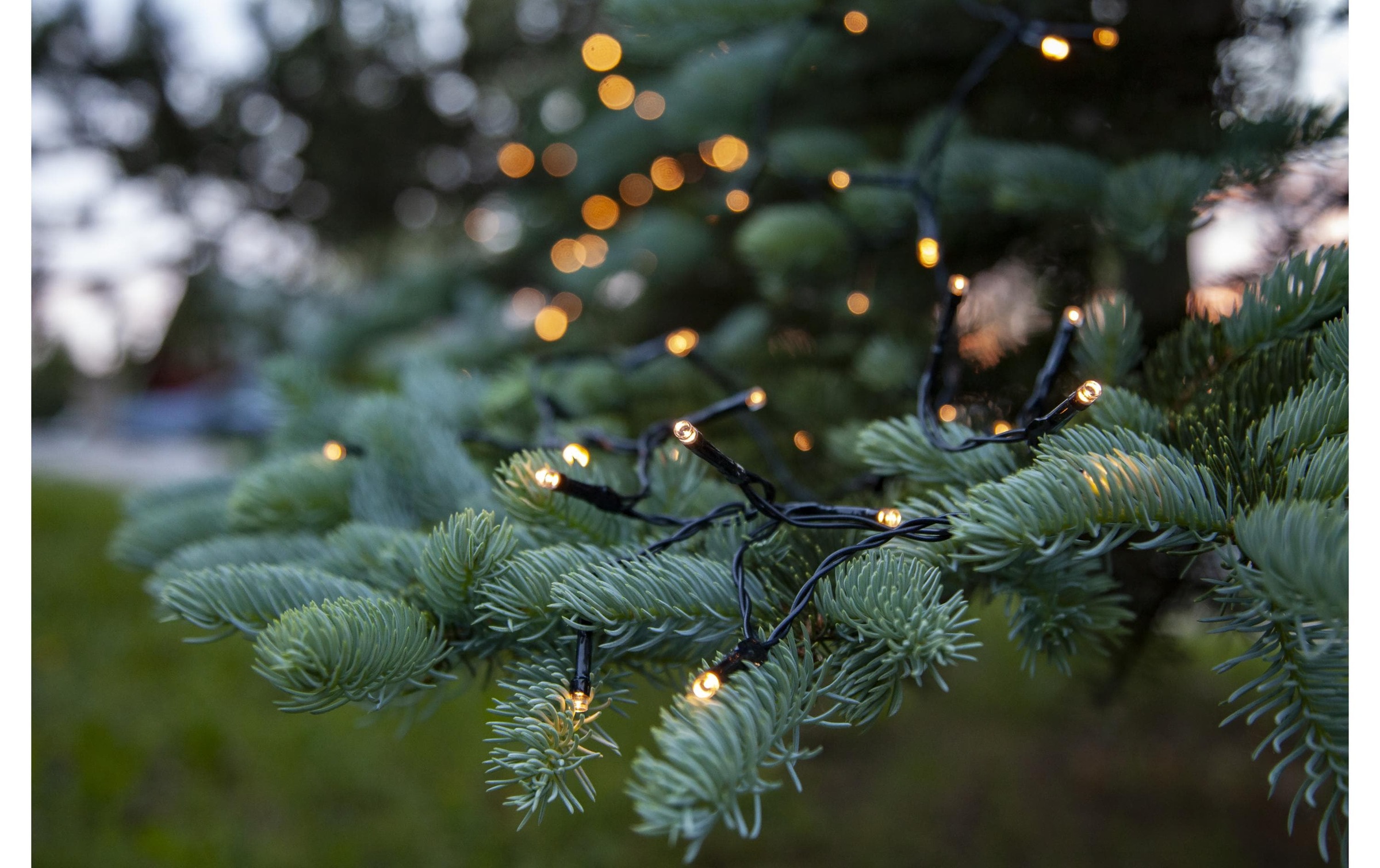 Parforce Traditional Hunting LED-Lichterkette »Dura« 160 Stk.-flammig