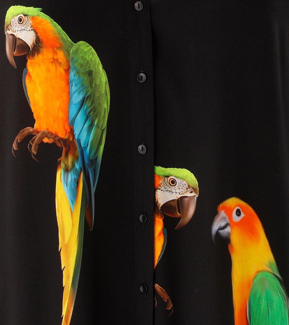 Aniston PLUS Chemisier long Mit ausgefallenen Papgeien Druck - NEUE KOLLEKTION