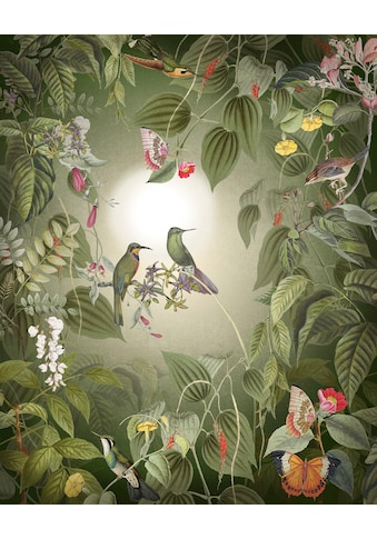 Komar Fototapete »Wildlife Birds«, Wald-floral, Grösse: 200 x 250 cm (Breite x Höhe),... kaufen