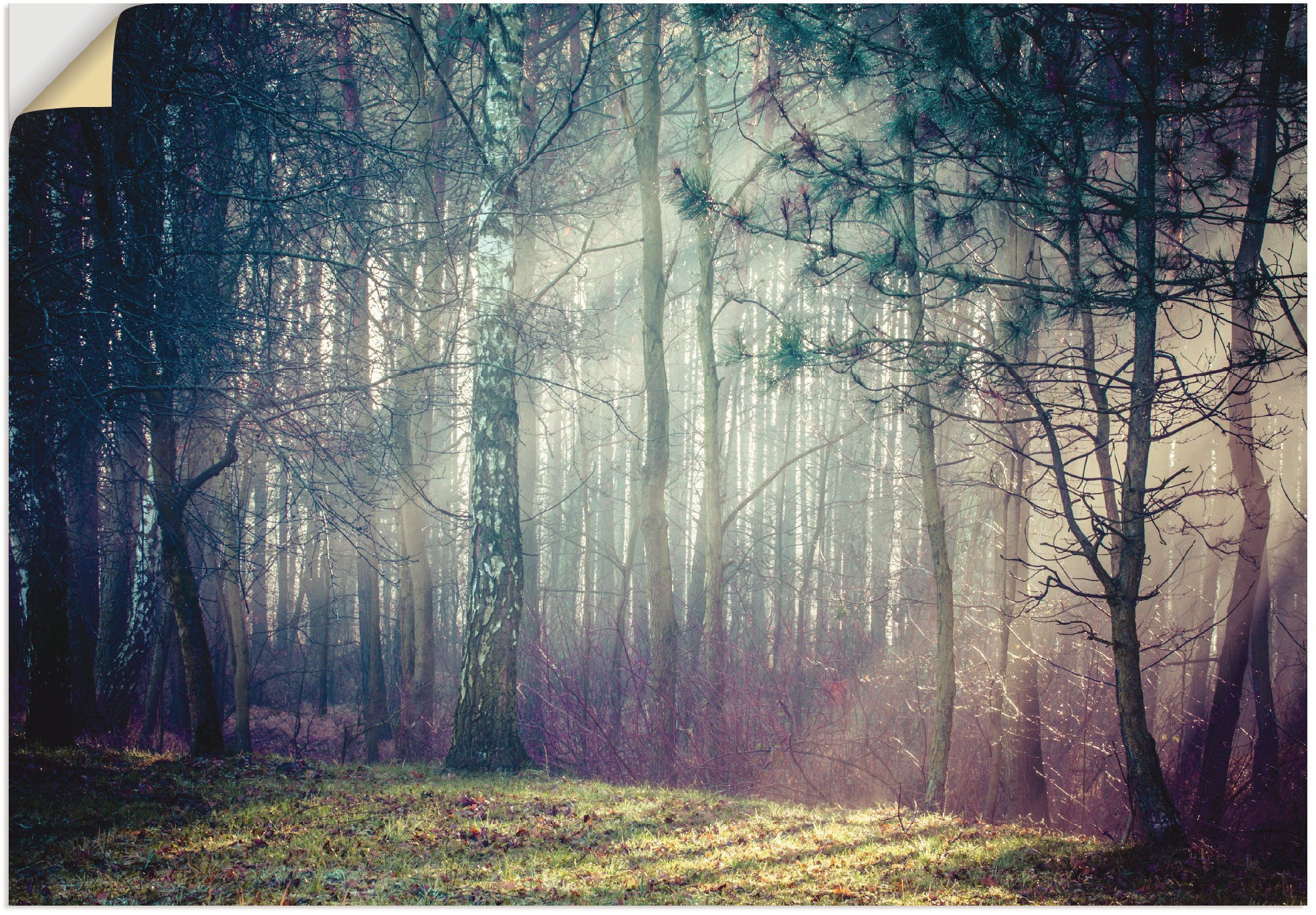 Image of Artland Wandbild »Sonnenstrahlen im Wald«, Waldbilder, (1 St.), in vielen Grössen & Produktarten - Alubild / Outdoorbild für den Aussenbereich, Leinwandbild, Poster, Wandaufkleber / Wandtattoo auch für Badezimmer geeignet bei Ackermann Versand Schweiz