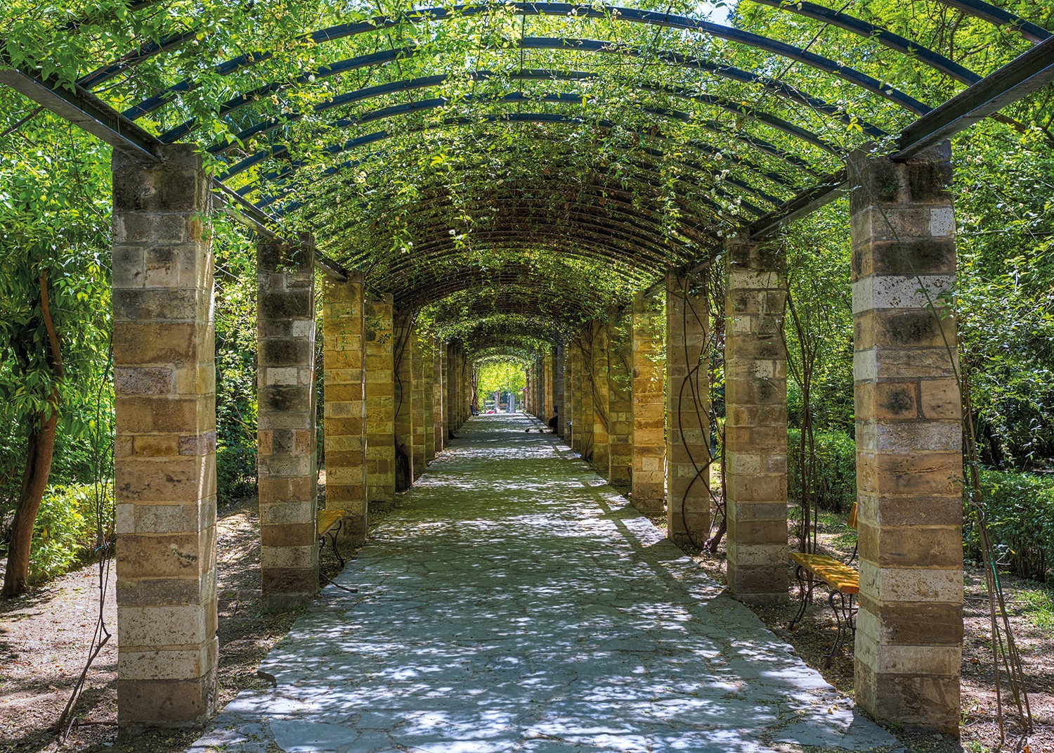 Image of Papermoon Fototapete »Garden of Athens« bei Ackermann Versand Schweiz