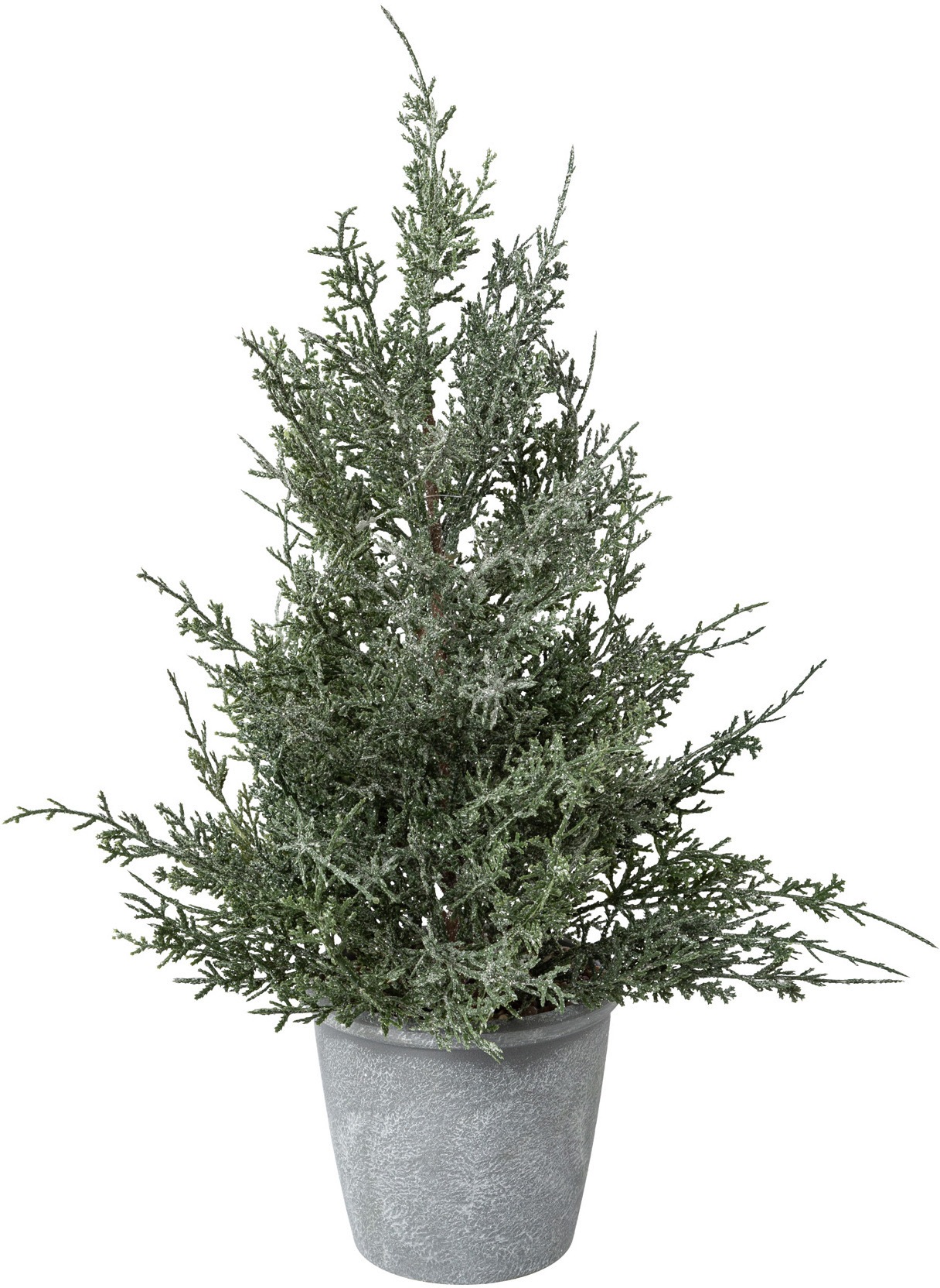 Image of Creativ deco Künstliche Zimmerpflanze, Geeiste Optik bei Ackermann Versand Schweiz