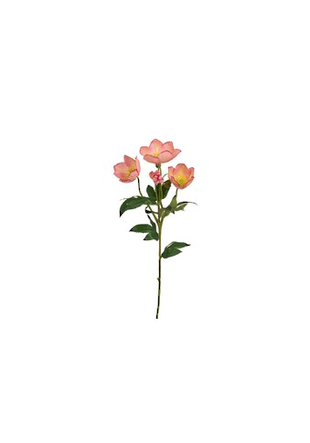 Kunstblume »Christrosen 3-er Set, 62 cm, Altrosa«