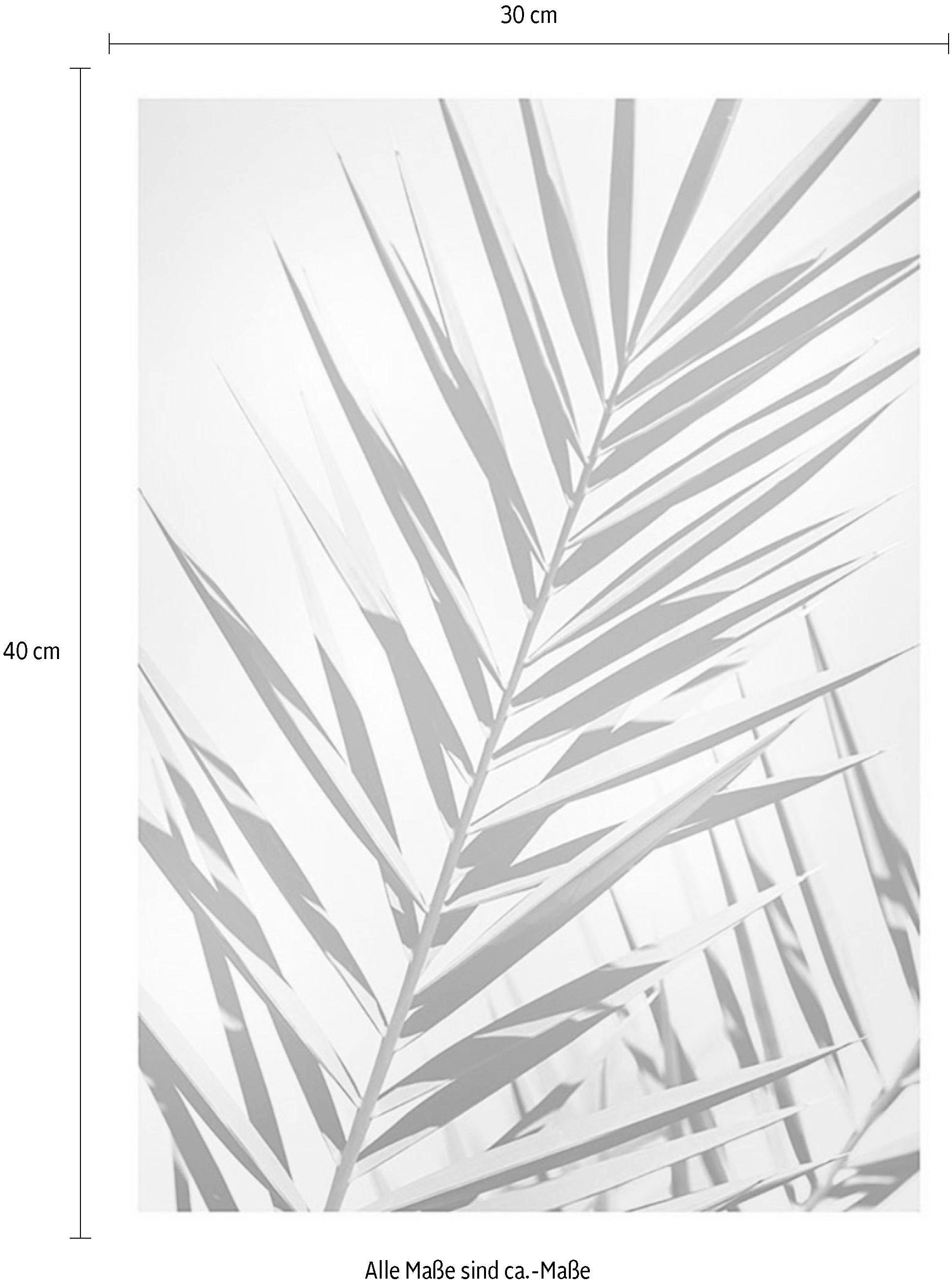 Komar Image »Shine« 1 cuis tlg. Wandbild zur Dekoration - ohne Rahmen