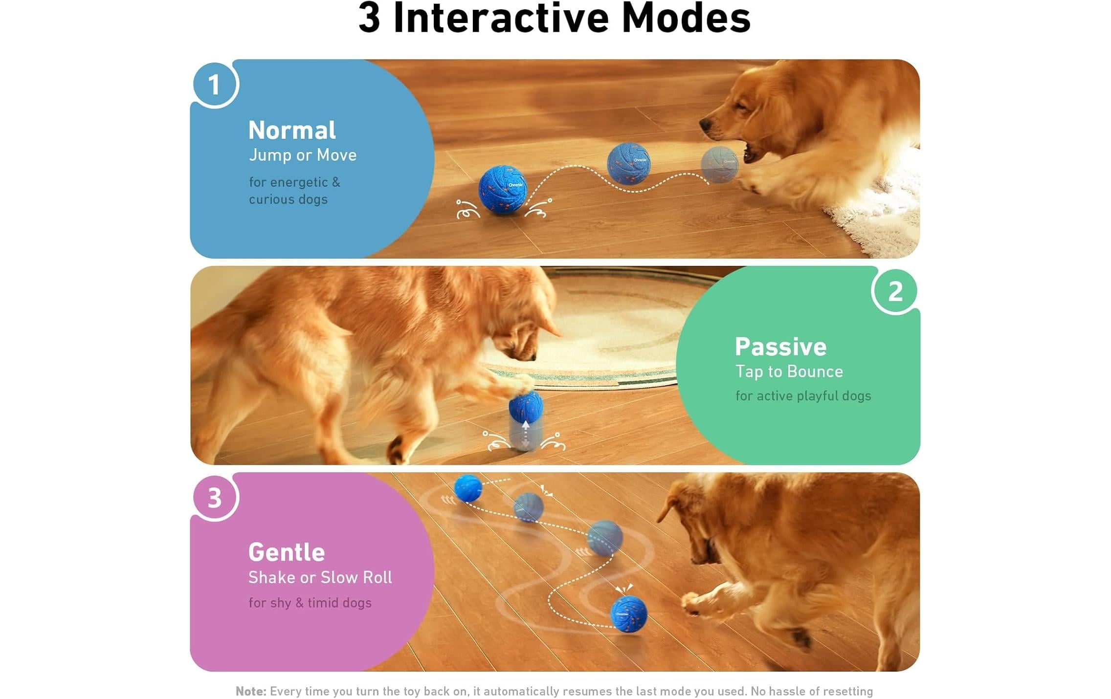   Jouet d'intelligence pour animaux »Cheerble Wicked Ball Air«