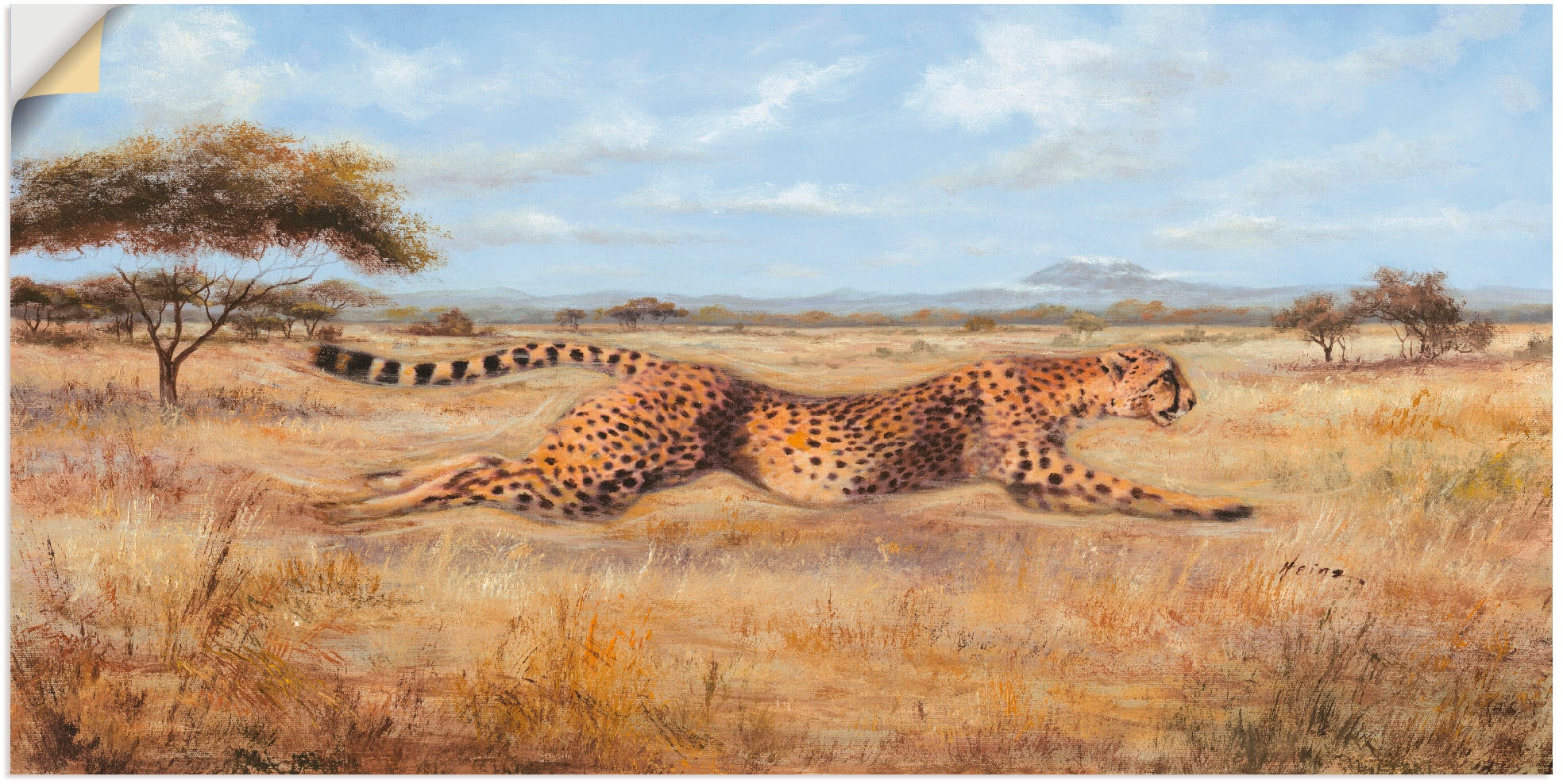 Wandfolie »Laufender Gepard«, Wildtiere, (1 St.), selbstklebend