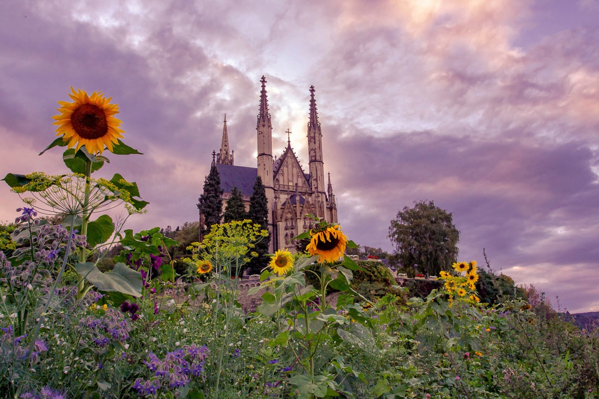 Image of Papermoon Fototapete "Kirche im Sonnenblumenfeld"