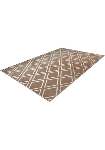 Teppich »Monroe 300«, rechteckig, besonders weich durch Microfaser, Wohnzimmer