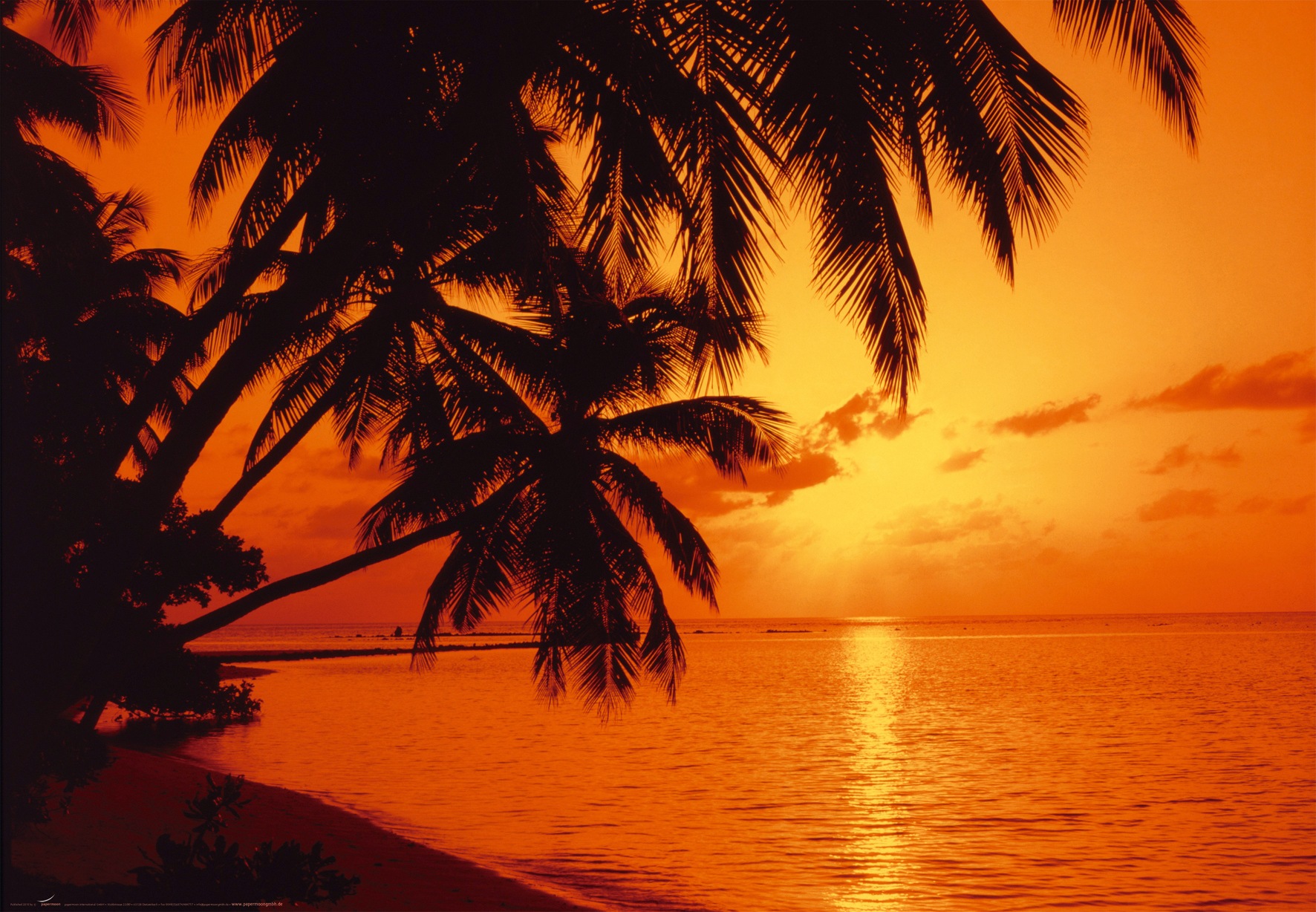 Image of Papermoon Fototapete »Tropic Sunset«, matt, BlueBack, 7 Bahnen, 350 x 260 cm bei Ackermann Versand Schweiz