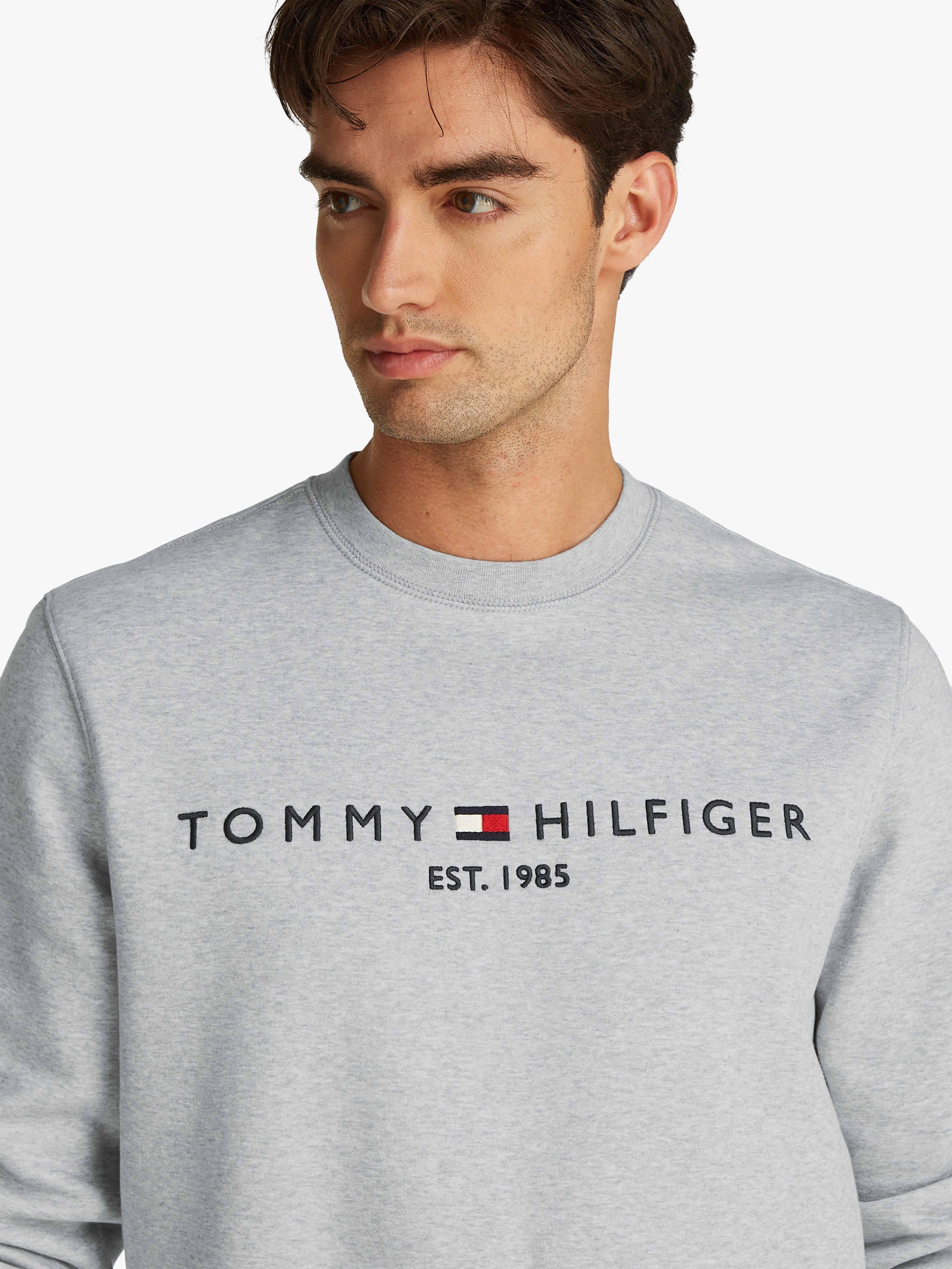 Tommy Hilfiger Sweatshirt »TOMMY LOGO SWEATSHIRT«, mit klassischem Rundhalsausschnitt