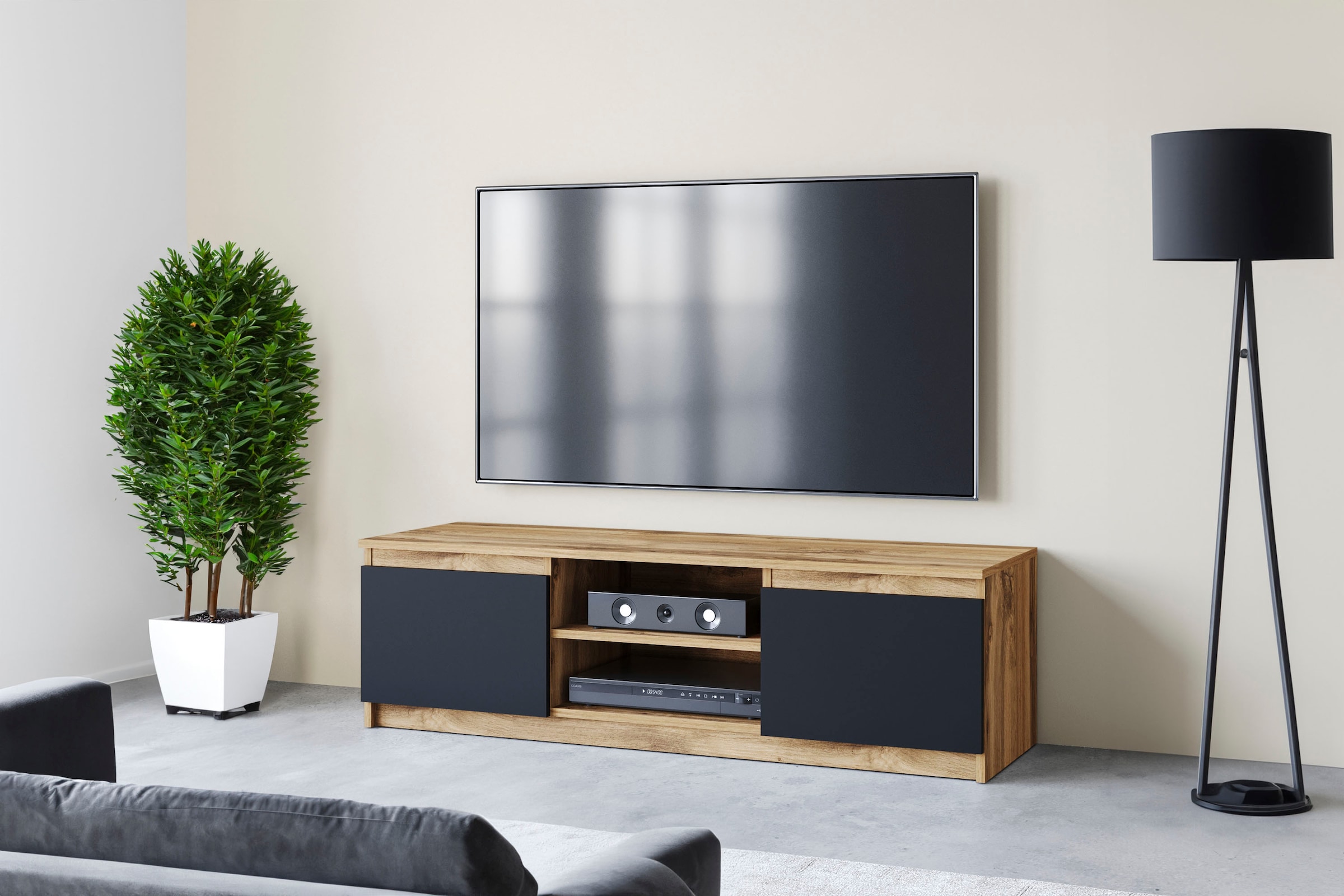 Image of Home affaire Lowboard "DINGO" zeitloser TV-Schrank, TV-Board Breite 120 cm, grifflose Fernsehschrank